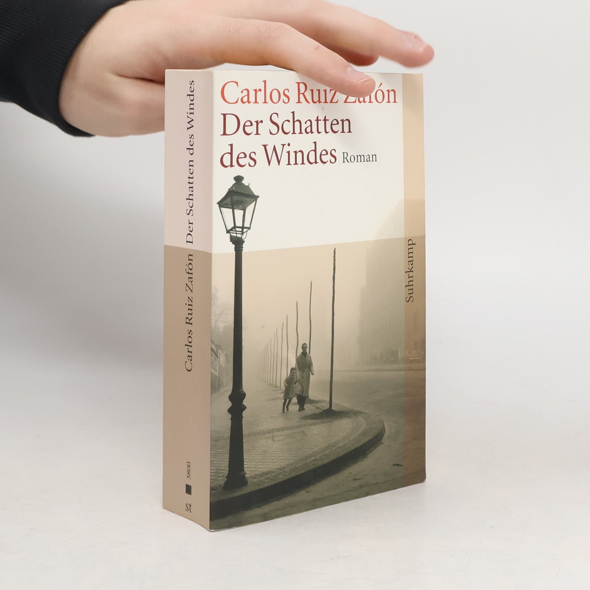 Carlos Ruiz Zafón Der Schatten des Windes
