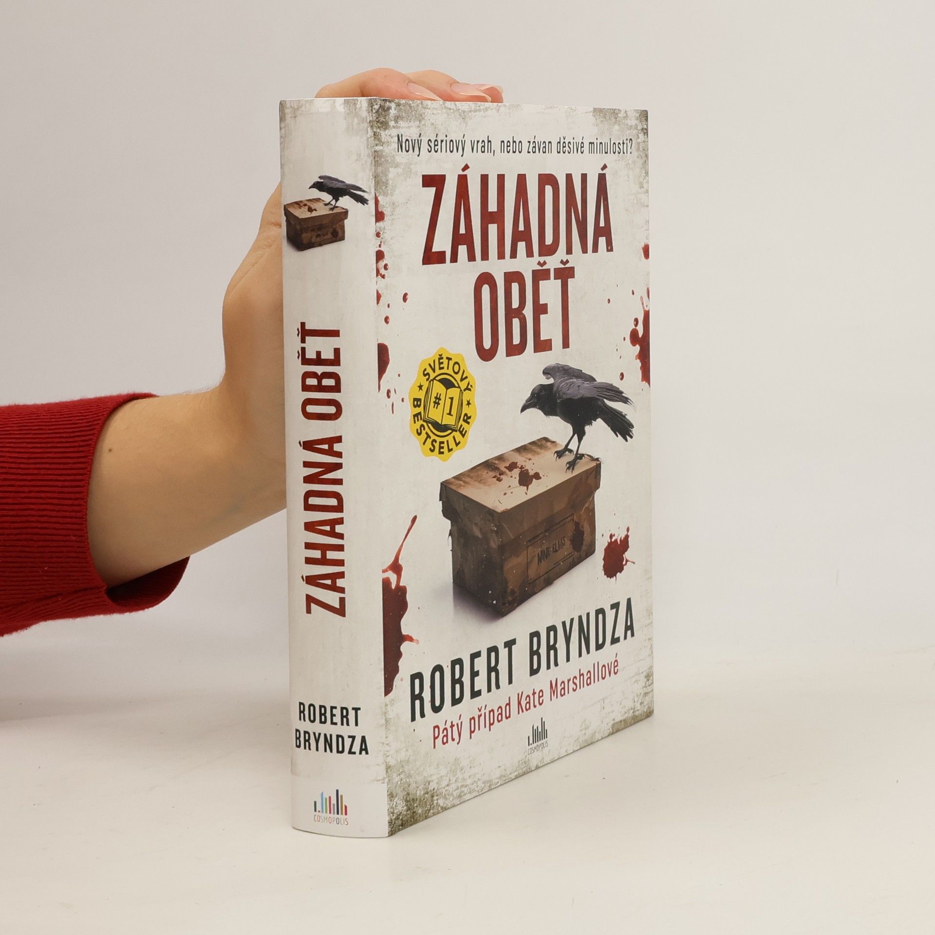 Robert Bryndza Záhadná oběť