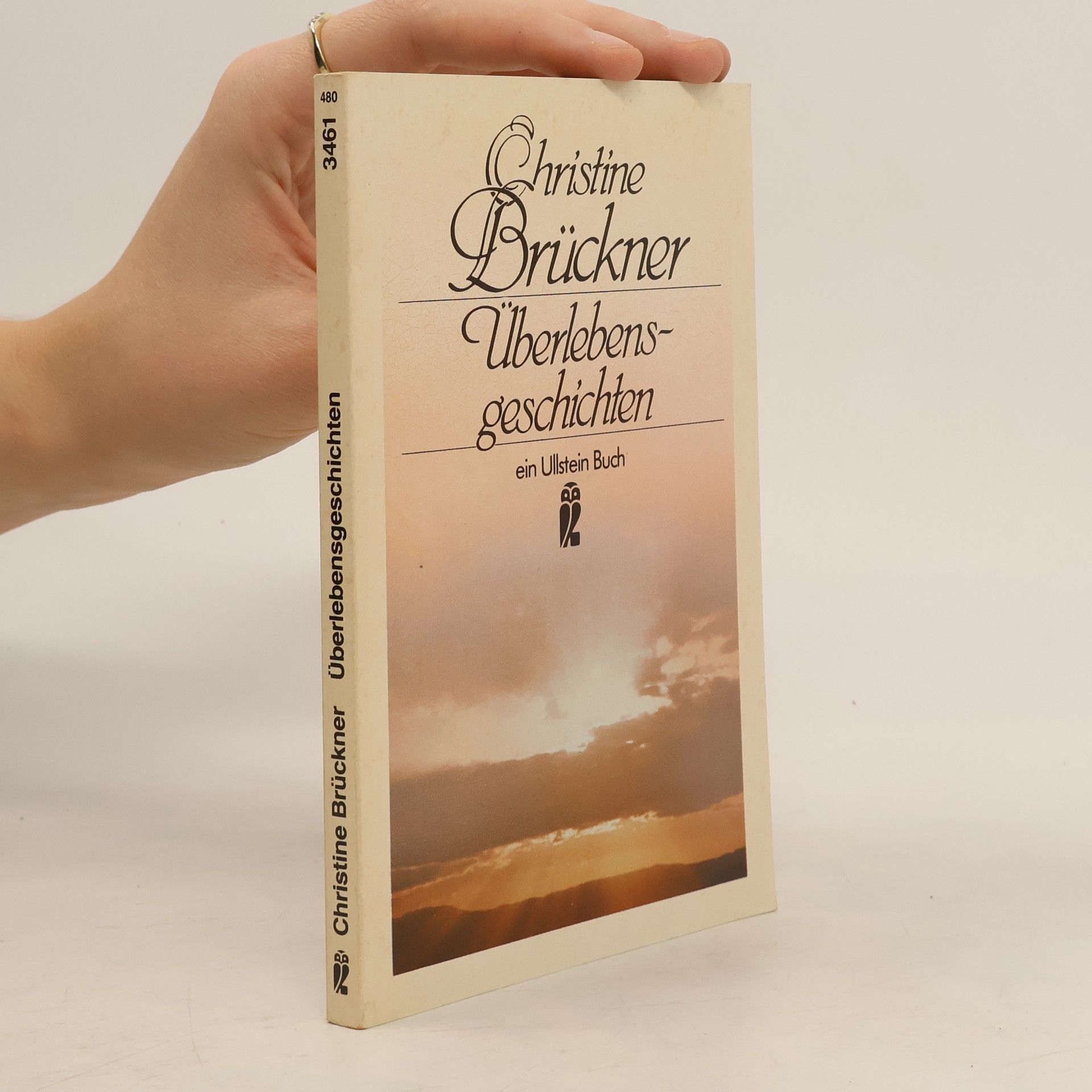 Christine Brückner Überlebensgeschichten