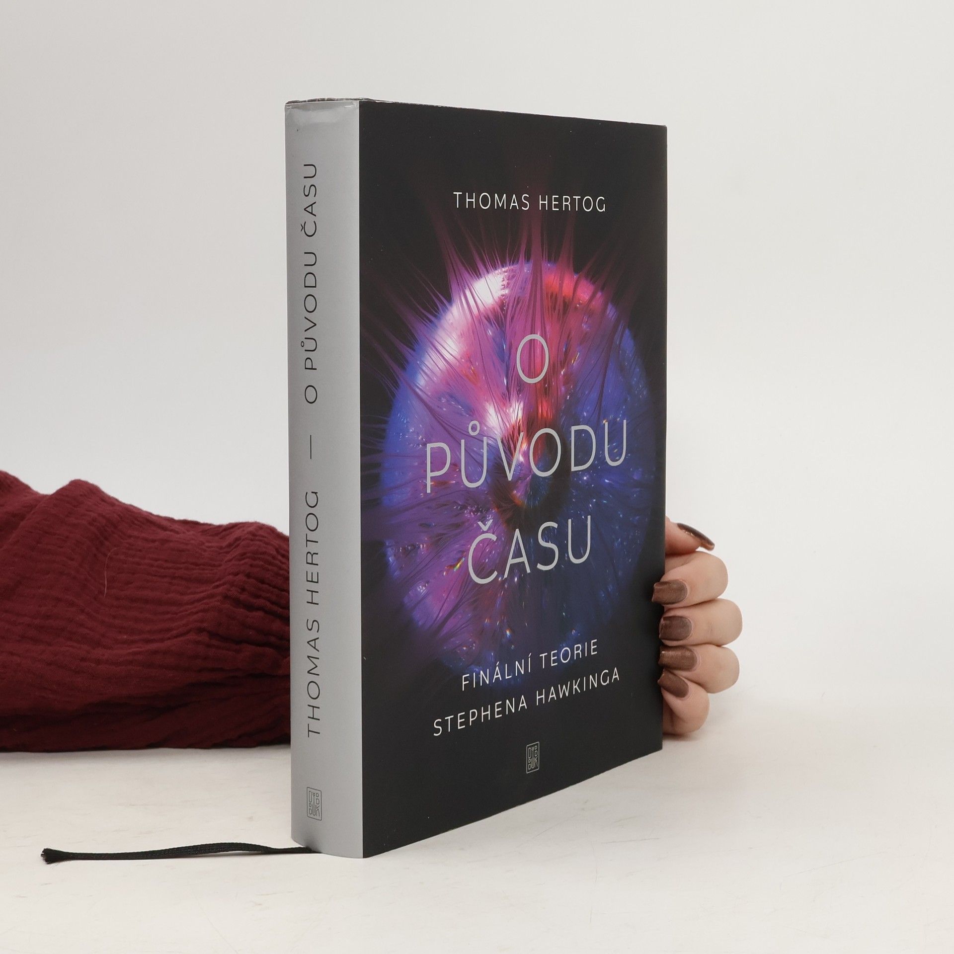 Thomas Hertog O původu času : finální teorie Stephena Hawkinga