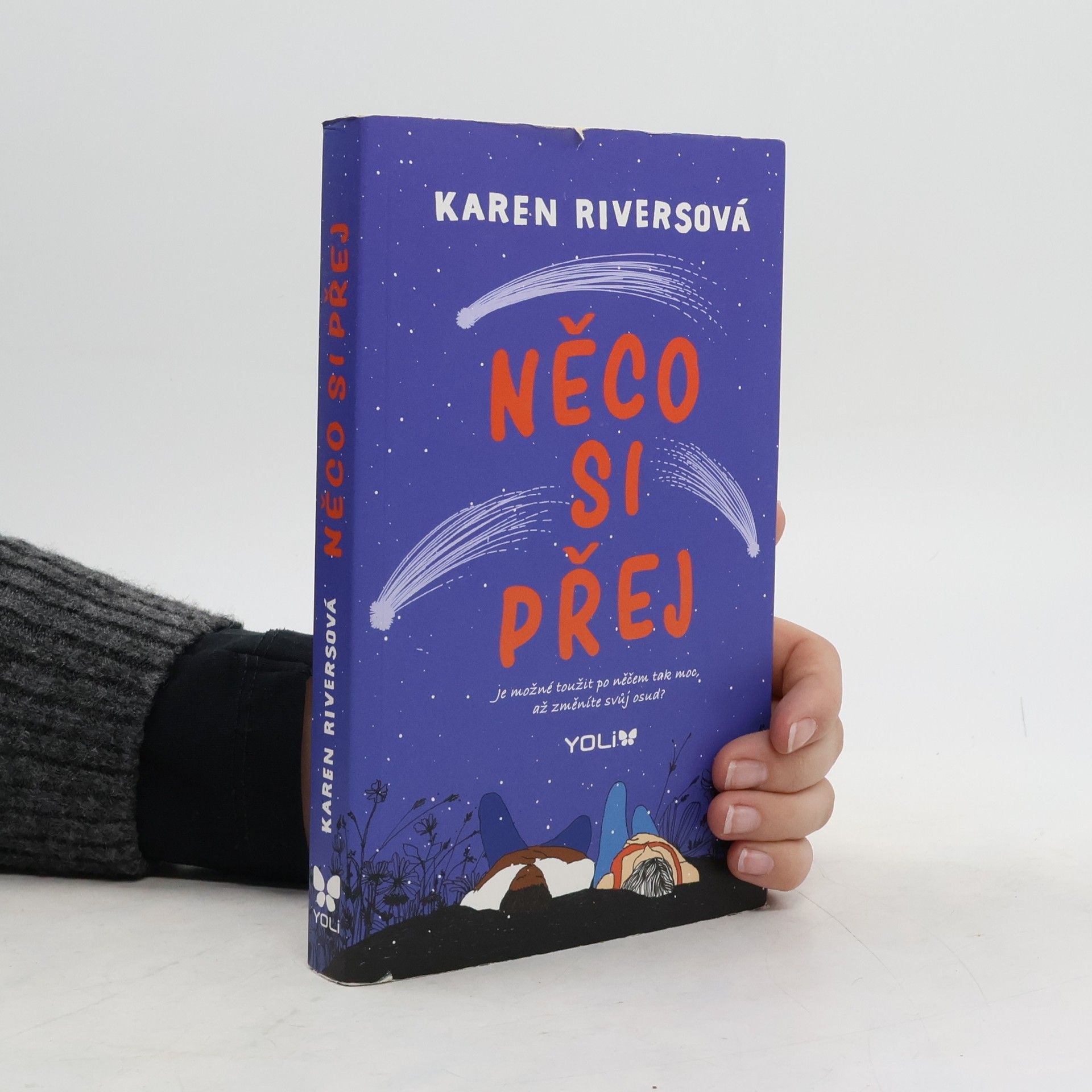 Karen Rivers Něco si přej