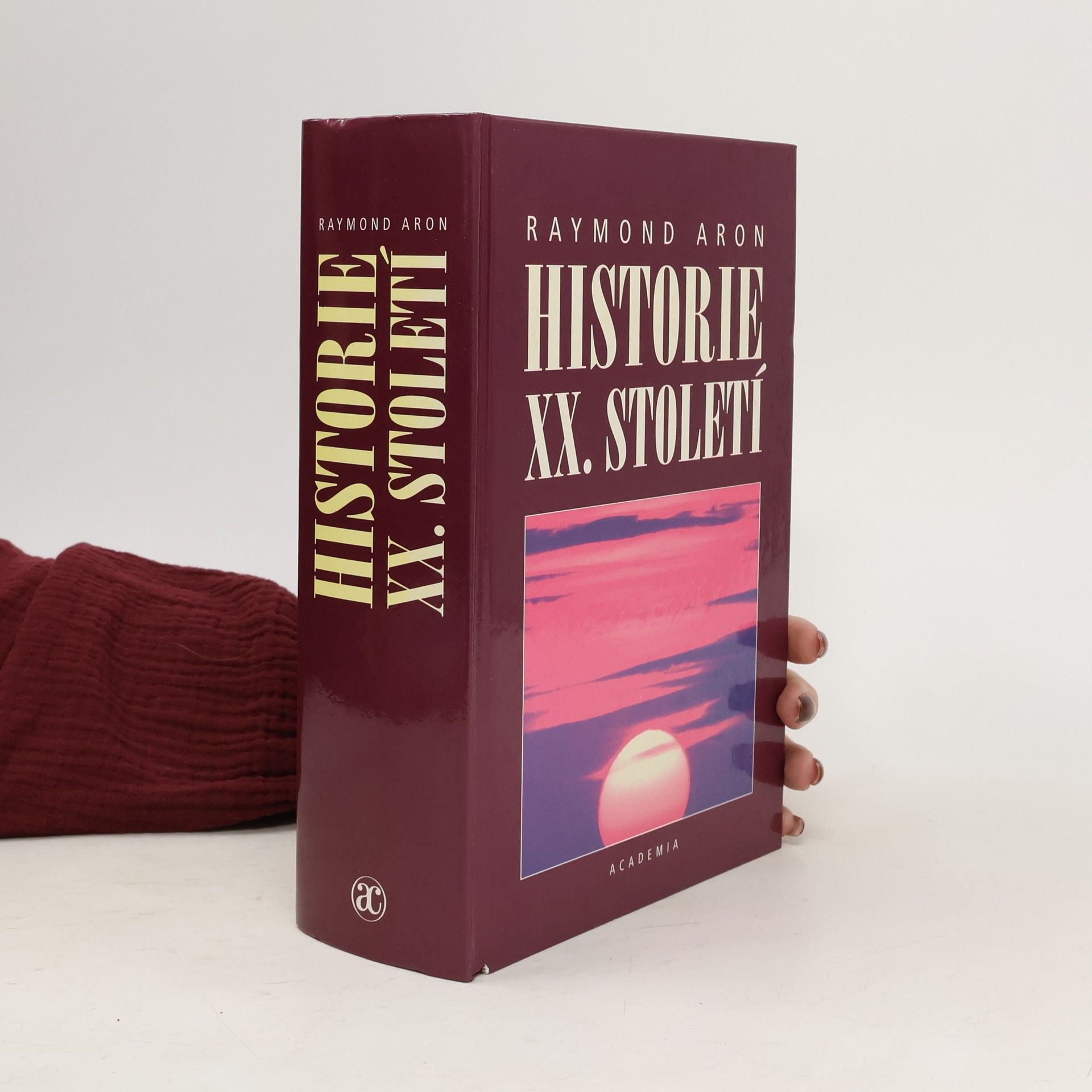 Raymond Aron Historie XX. století