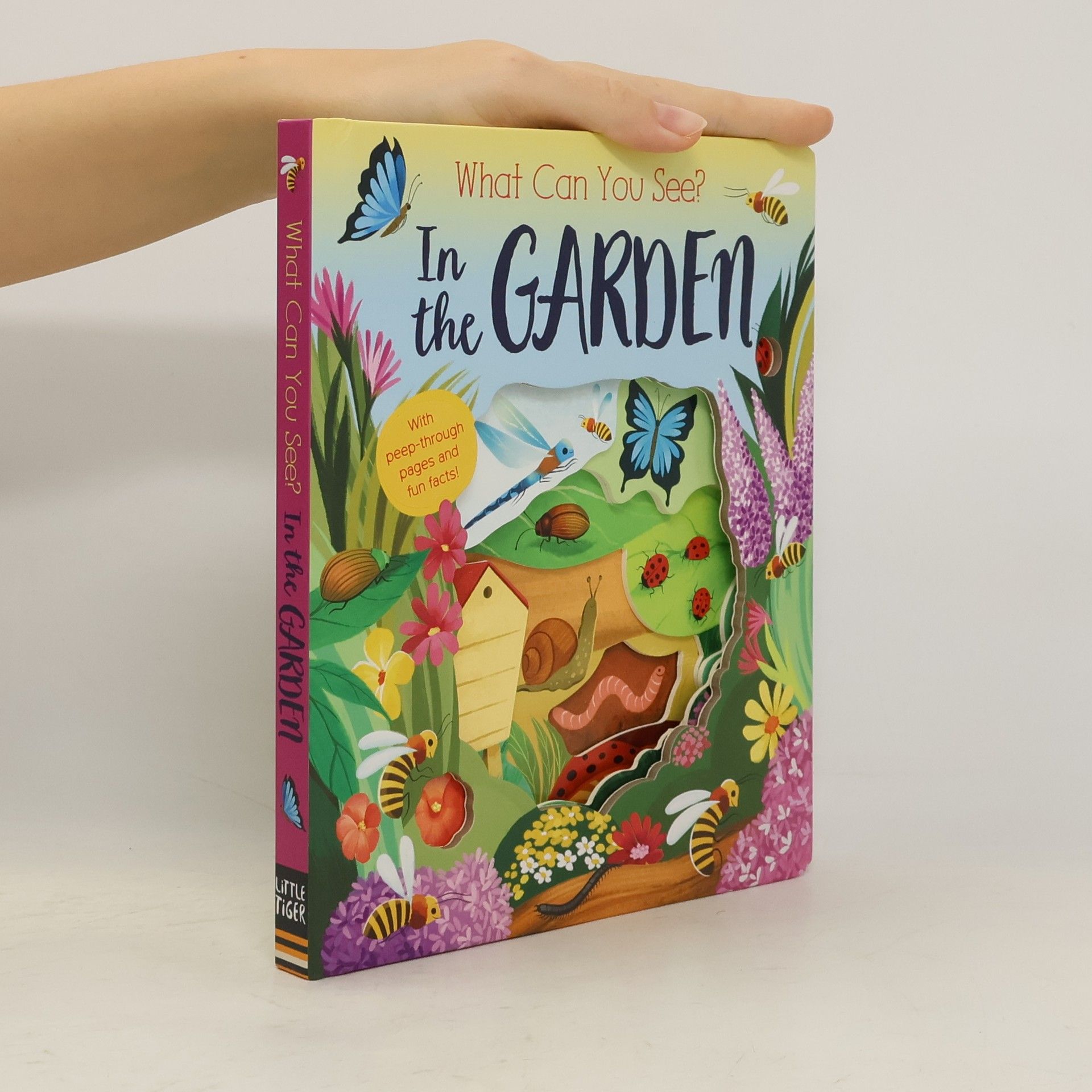 Rosamund Lloyd In the Garden