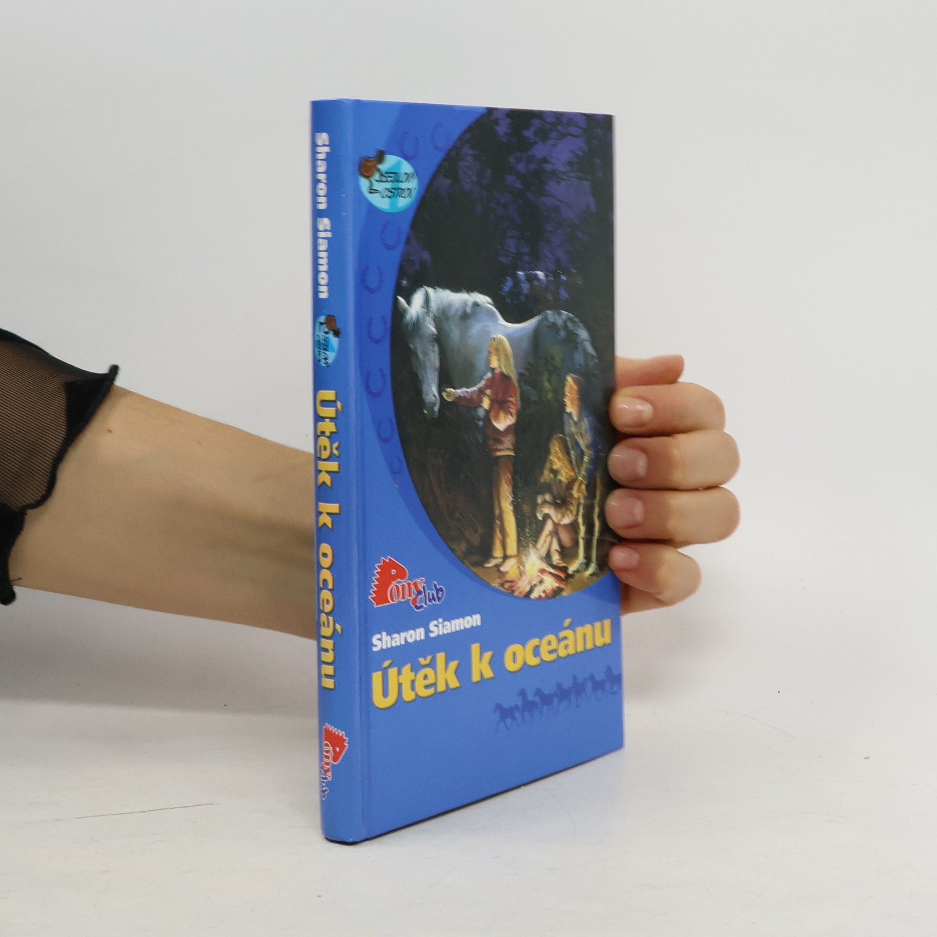 Sharon Siamon Útěk k oceánu