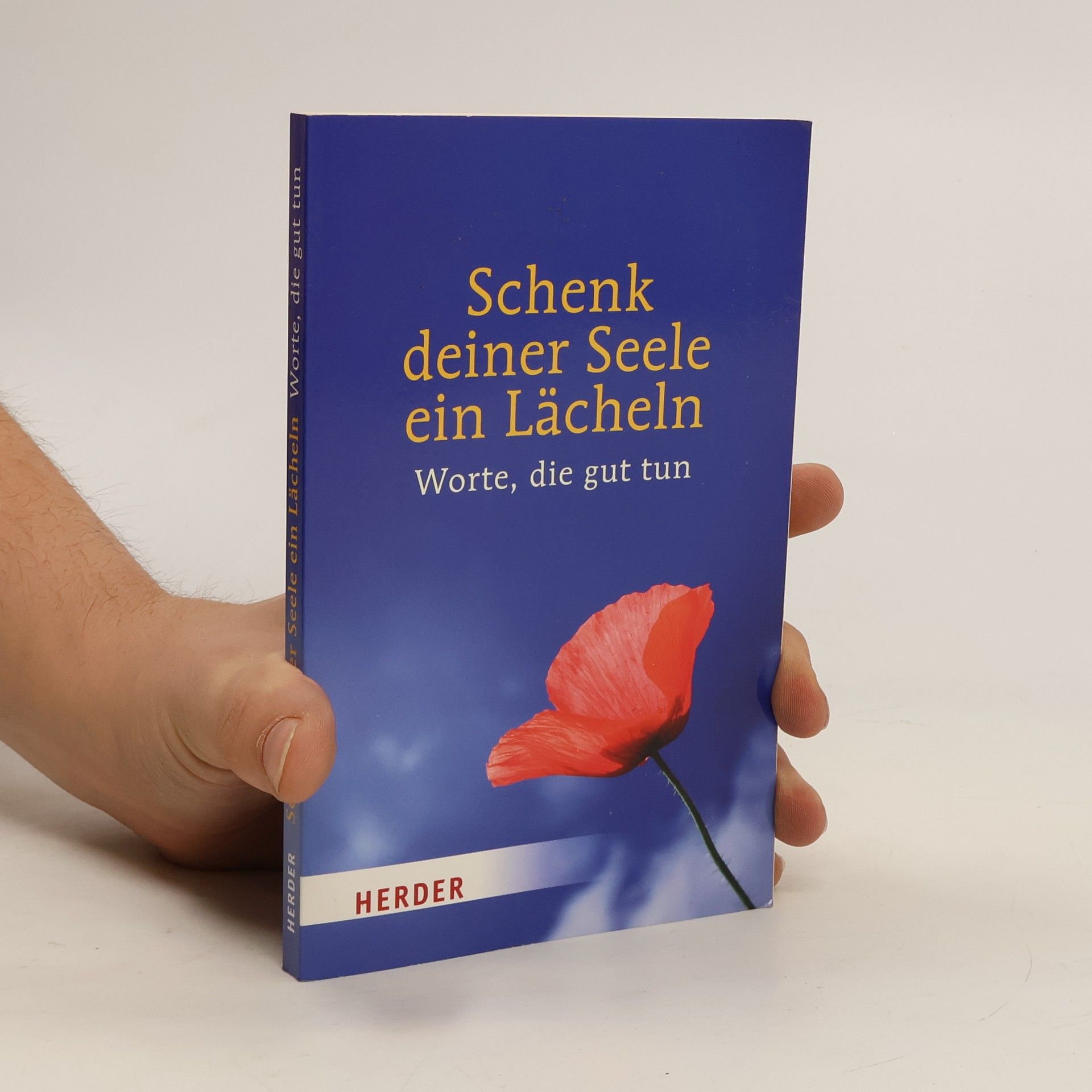 Sylvia Müller Schenk deiner Seele ein Lächeln