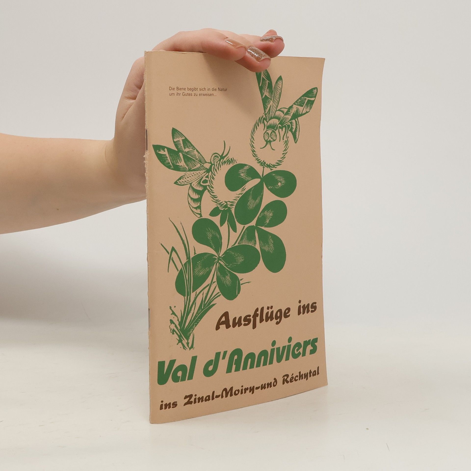 Various authors Ausflüge ins Val d´Anniviers