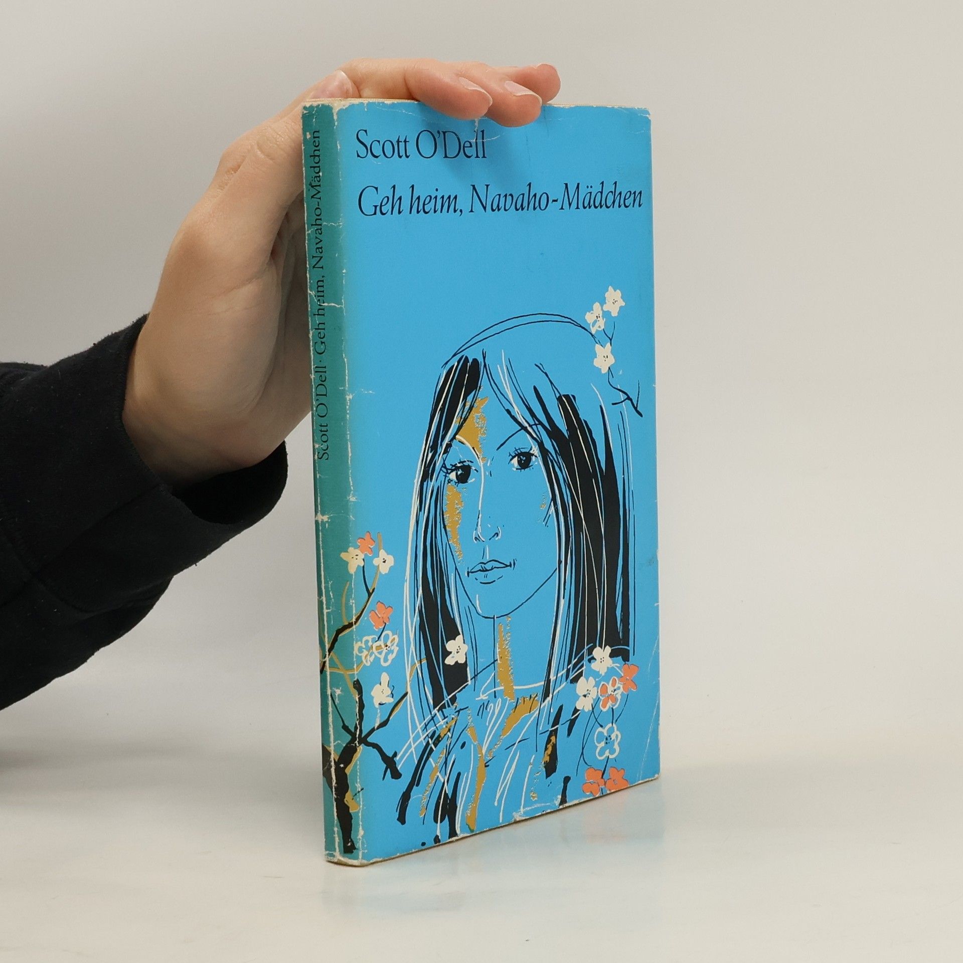 Scott O. Dell Geh heim, Navaho- Mädchen