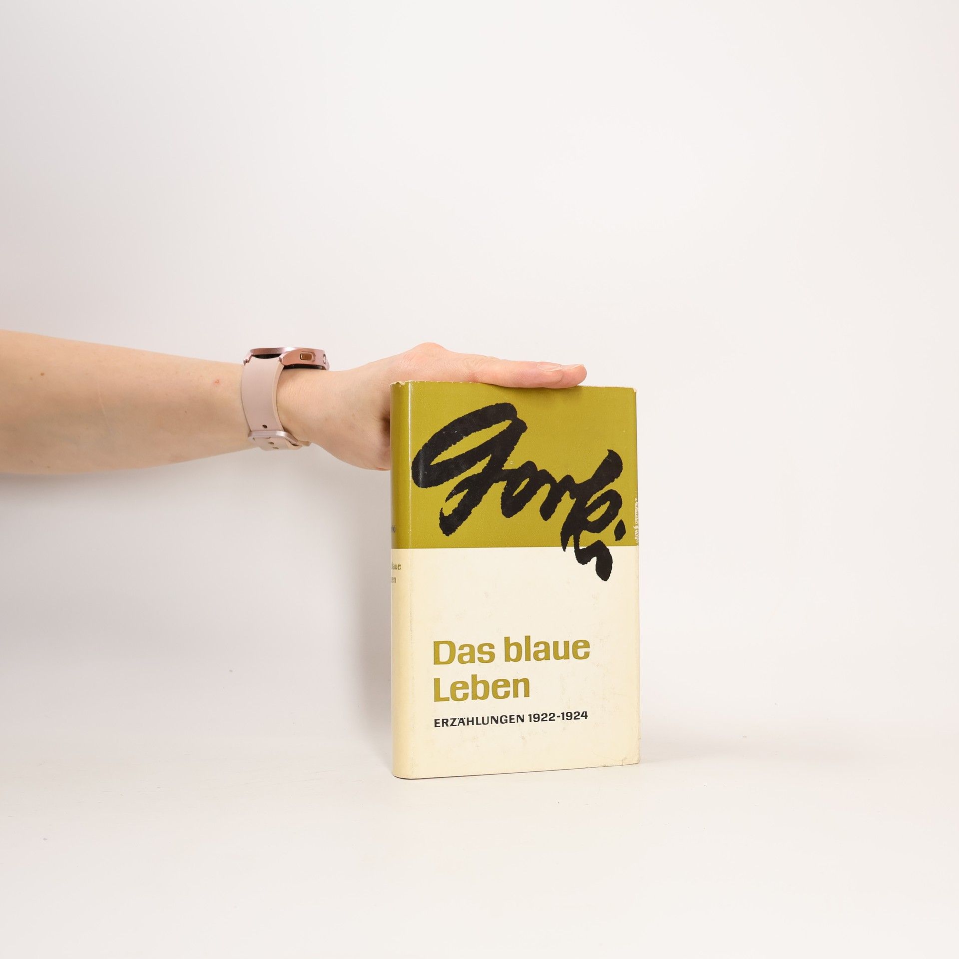 Maxim Gorkij Das blaue Leben