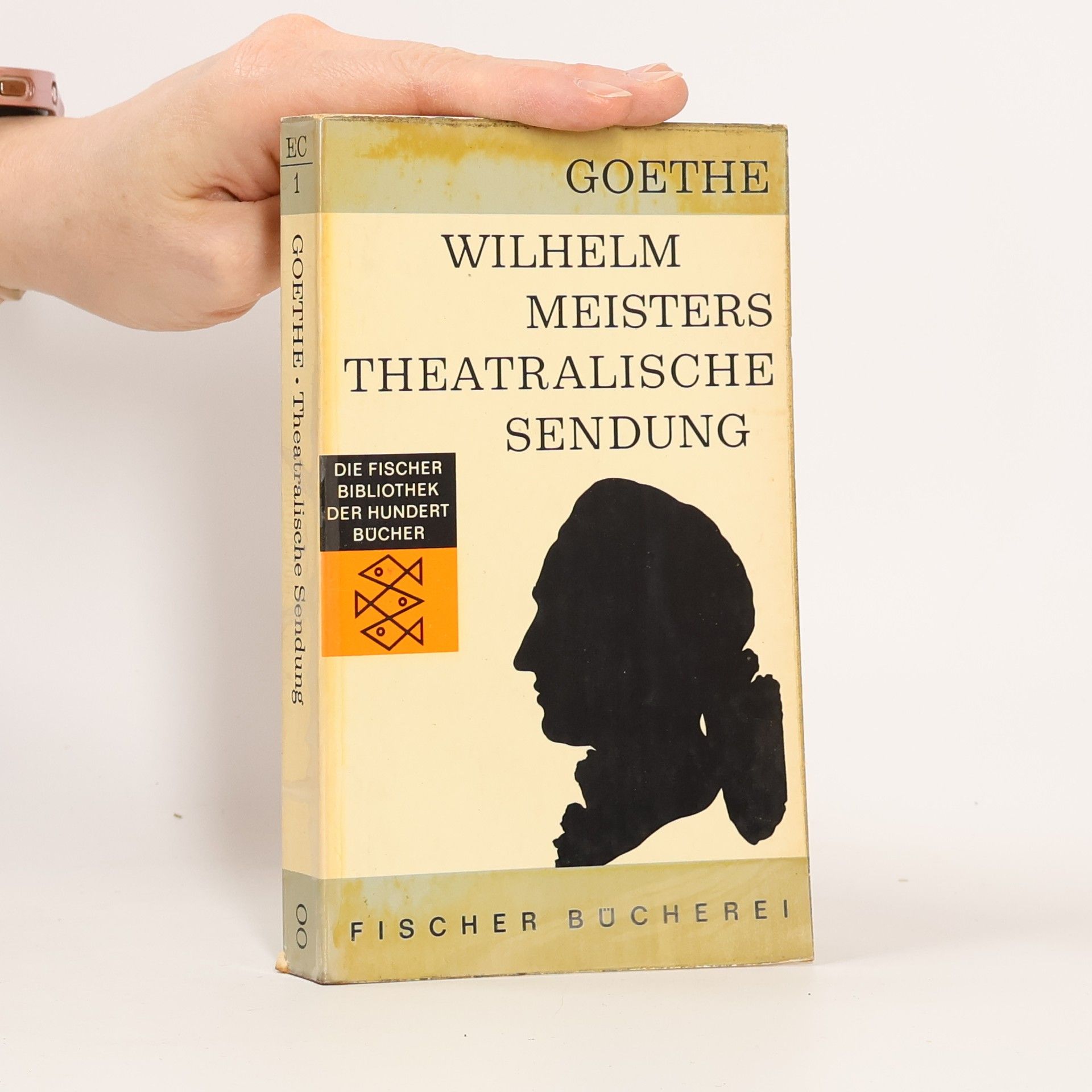 Johann Wolfgang von Goethe Wilhelm Meisters Theatralische Sendung