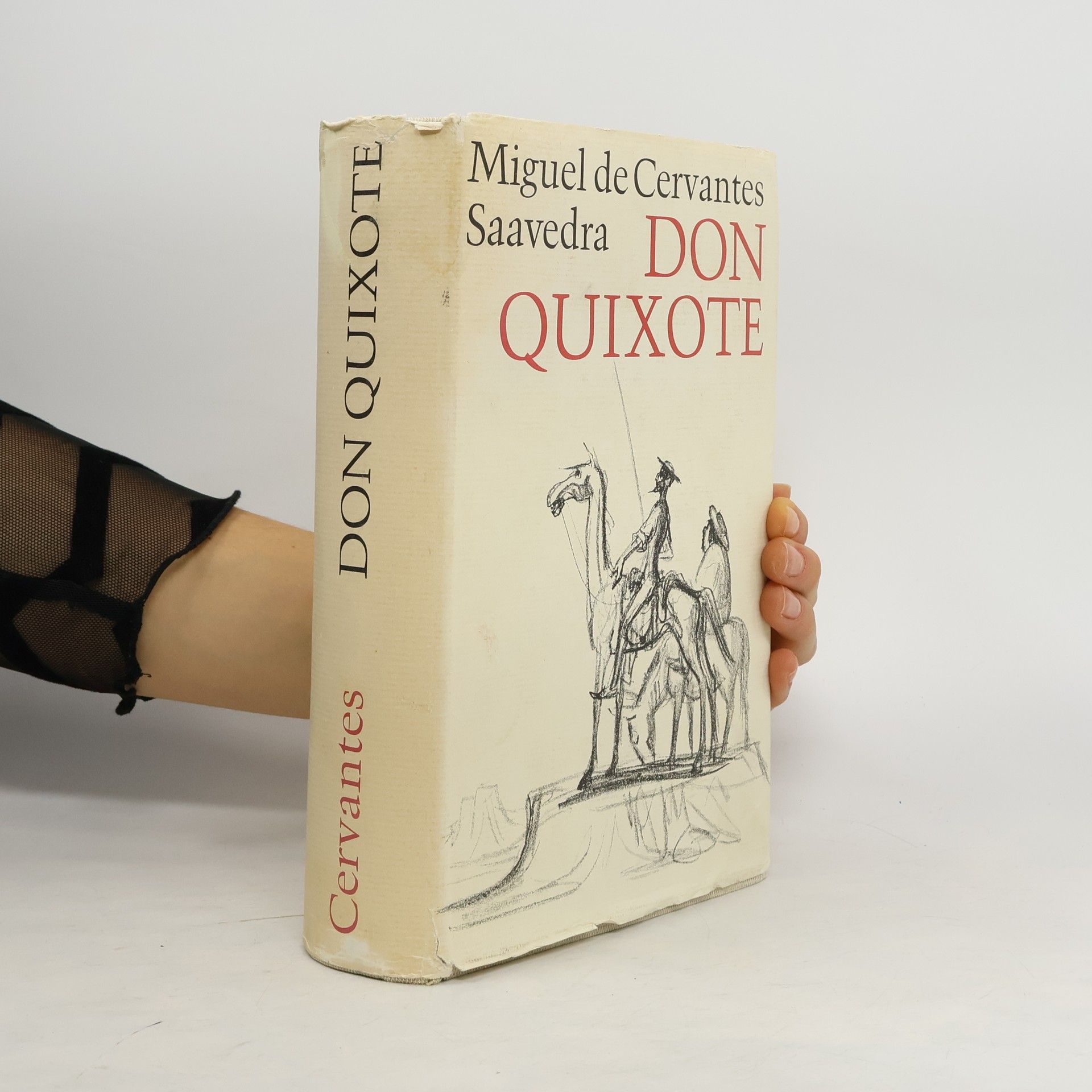 Miguel de Cervantes Saavedra Don Quixote