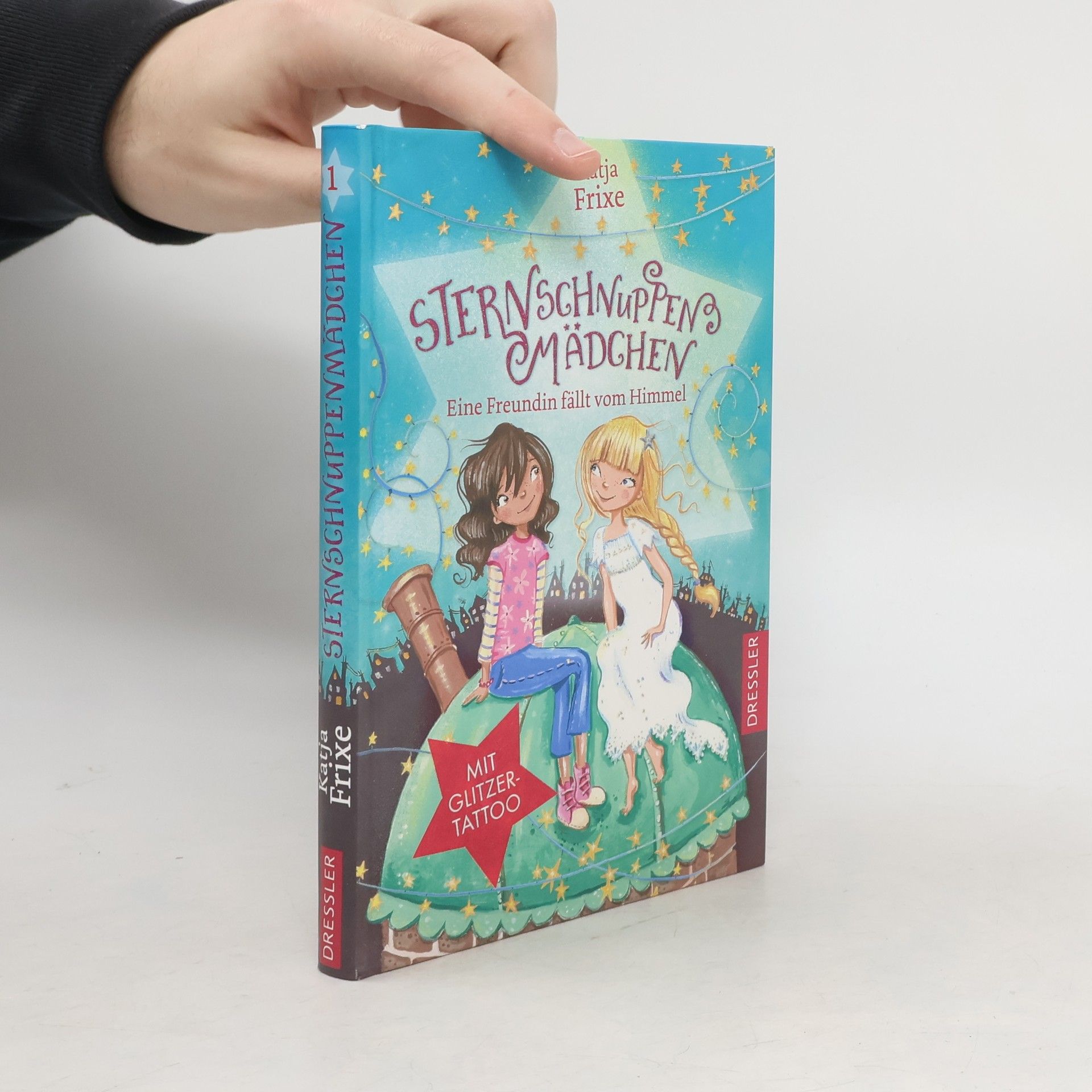 Katja Frixe Eine Freundin fällt vom Himmel