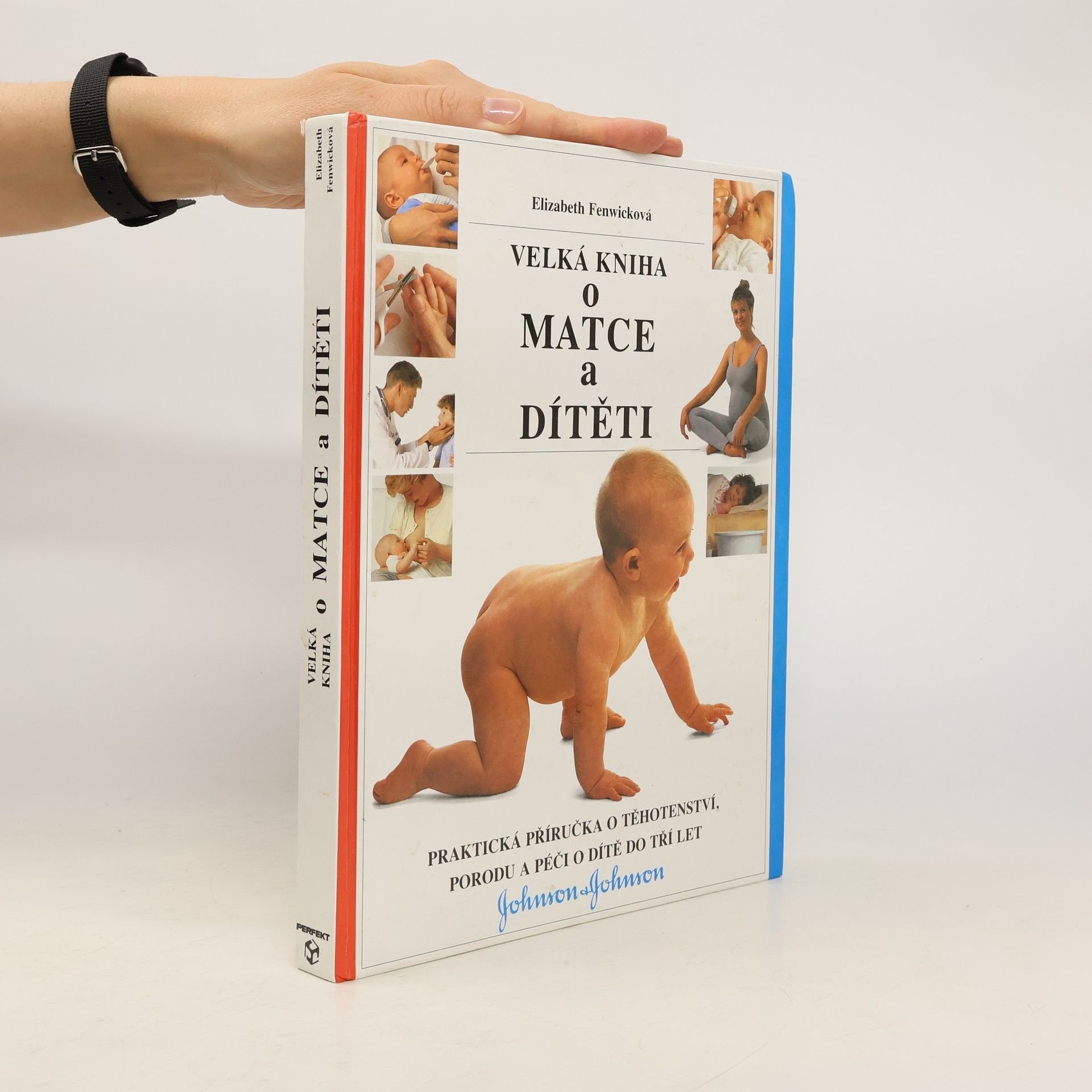 Elizabeth Fenwick Velká kniha o matce a dítěti