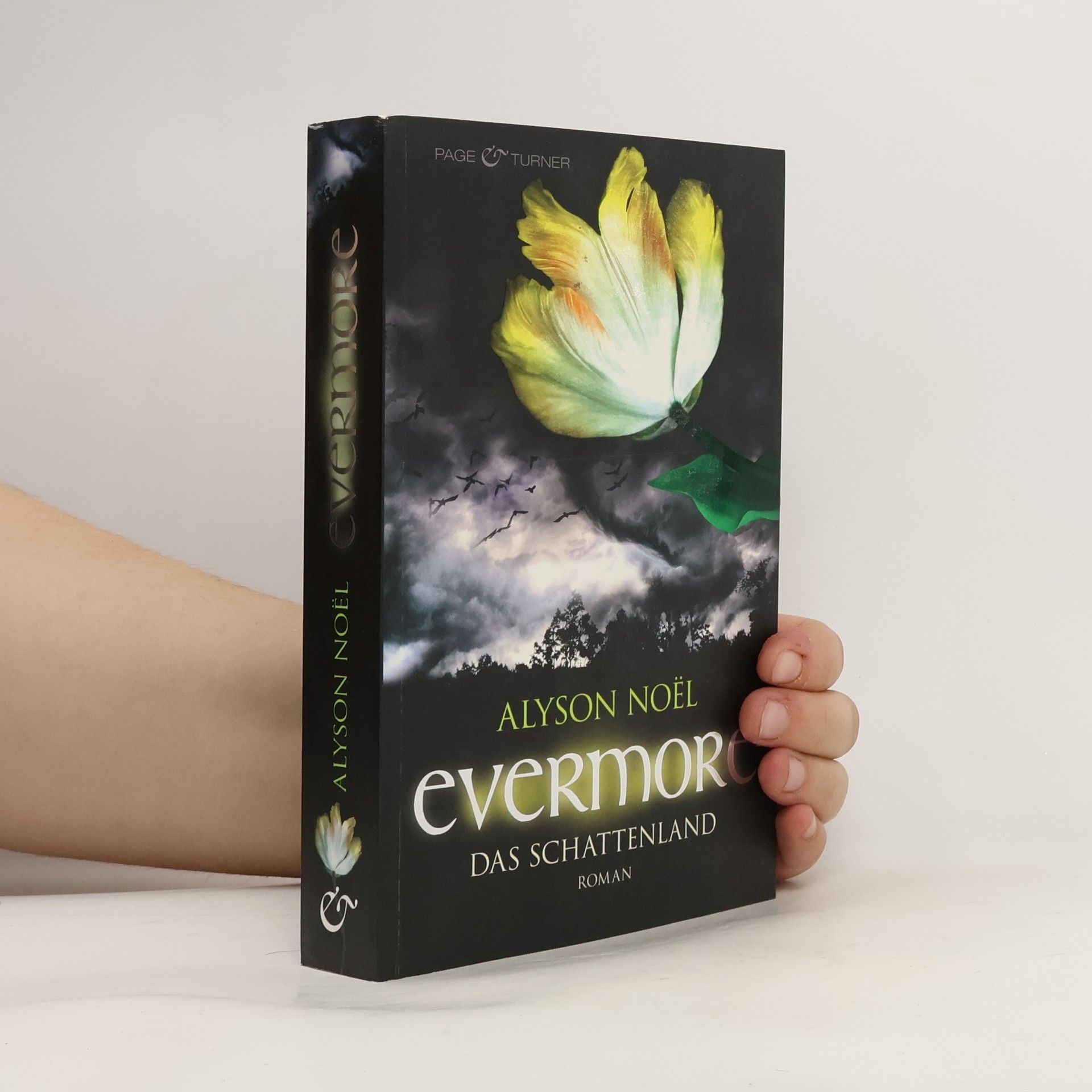 Alyson Noël Evermore: Das Schattenland