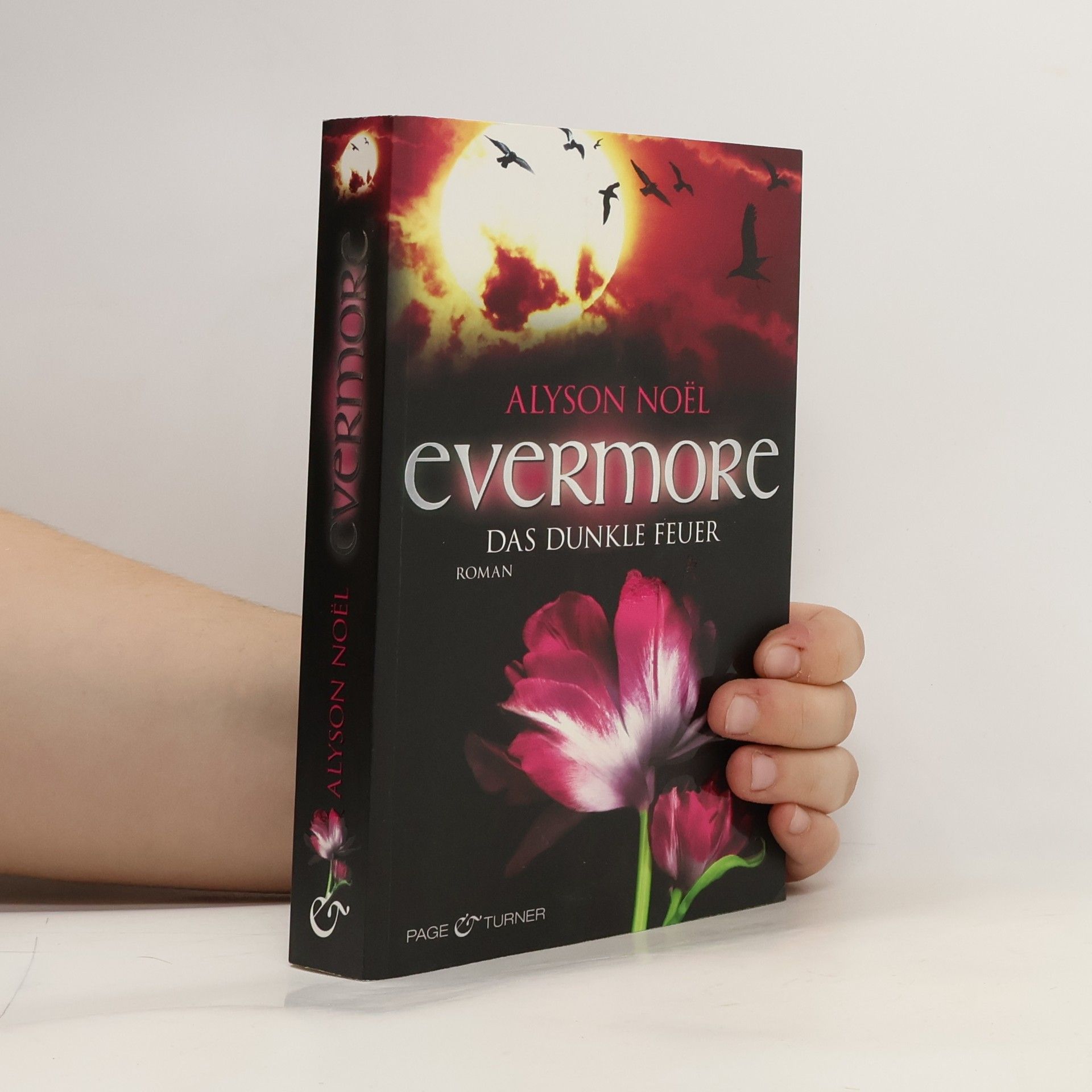 Alyson Noël Evermore: Das dunkle Feuer