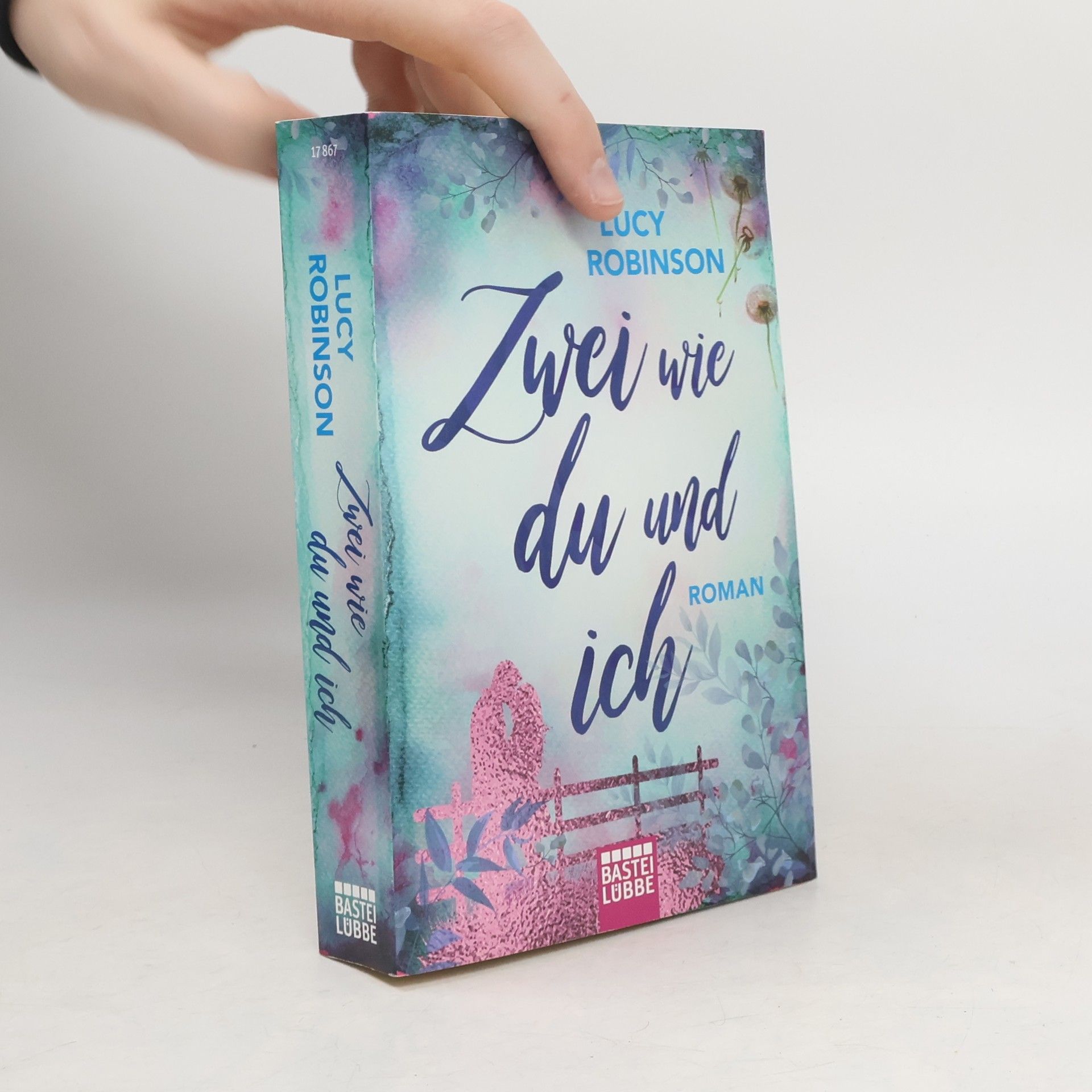 Rosie Walsh Zwei wie du und ich