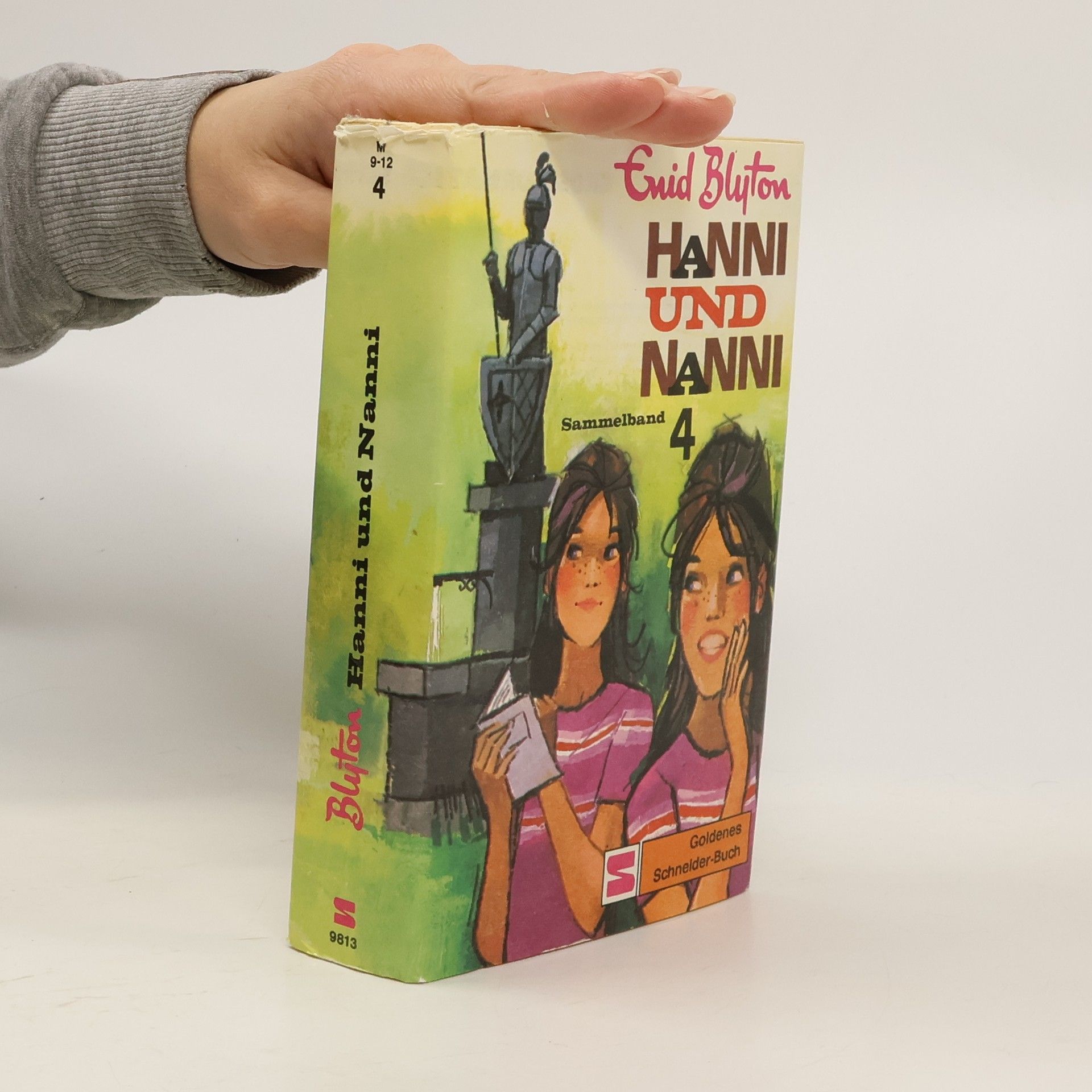 Enid Blyton Hanni und Nanni. Sammelband 4
