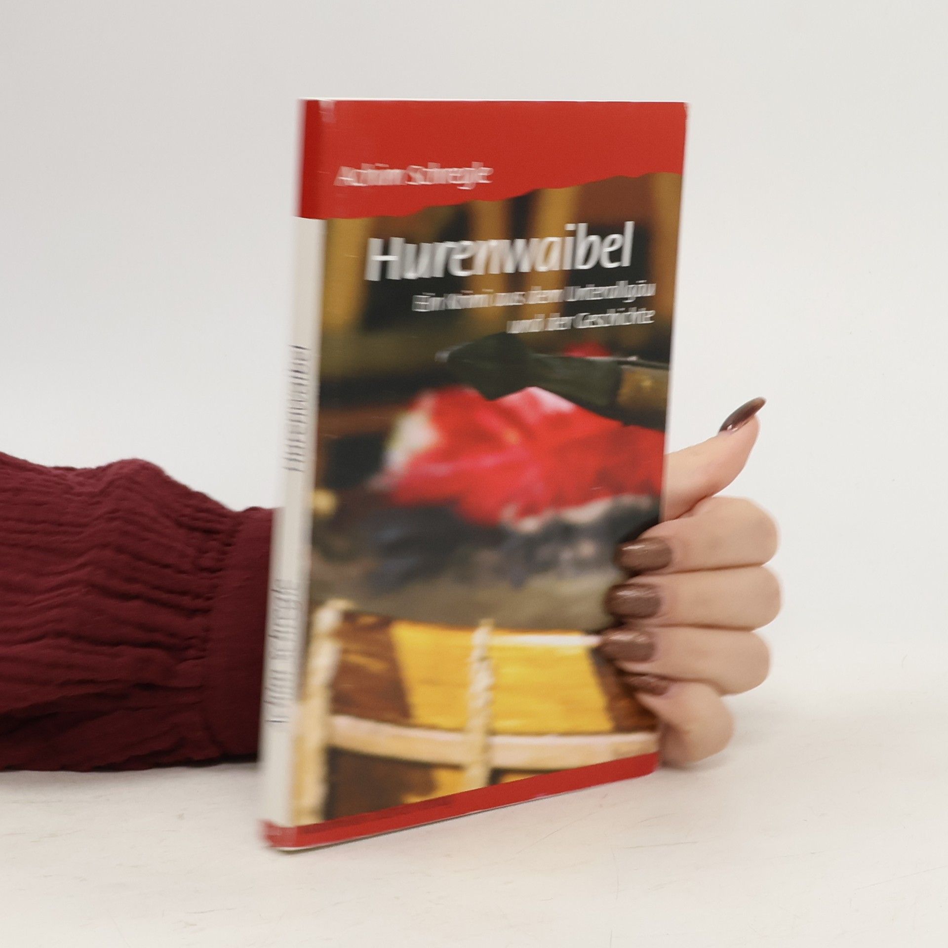 Achim Schregle Hurenwaibel. Ein Krimi aus dem Unterallgäu und der Geschichte