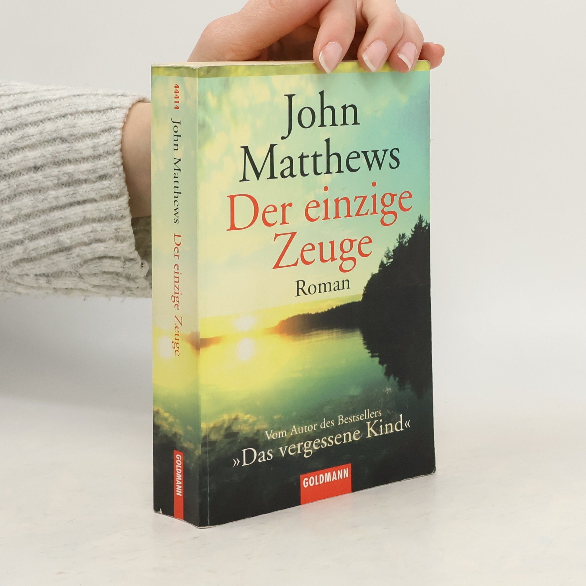 John Matthews Der einzige Zeuge