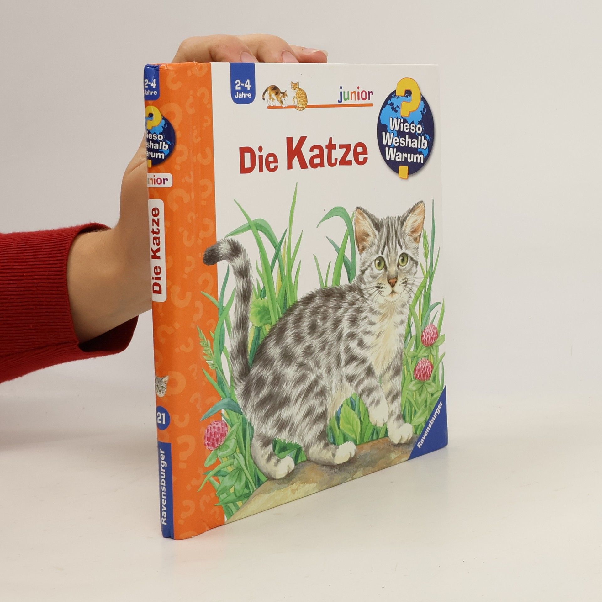 Die Katze
