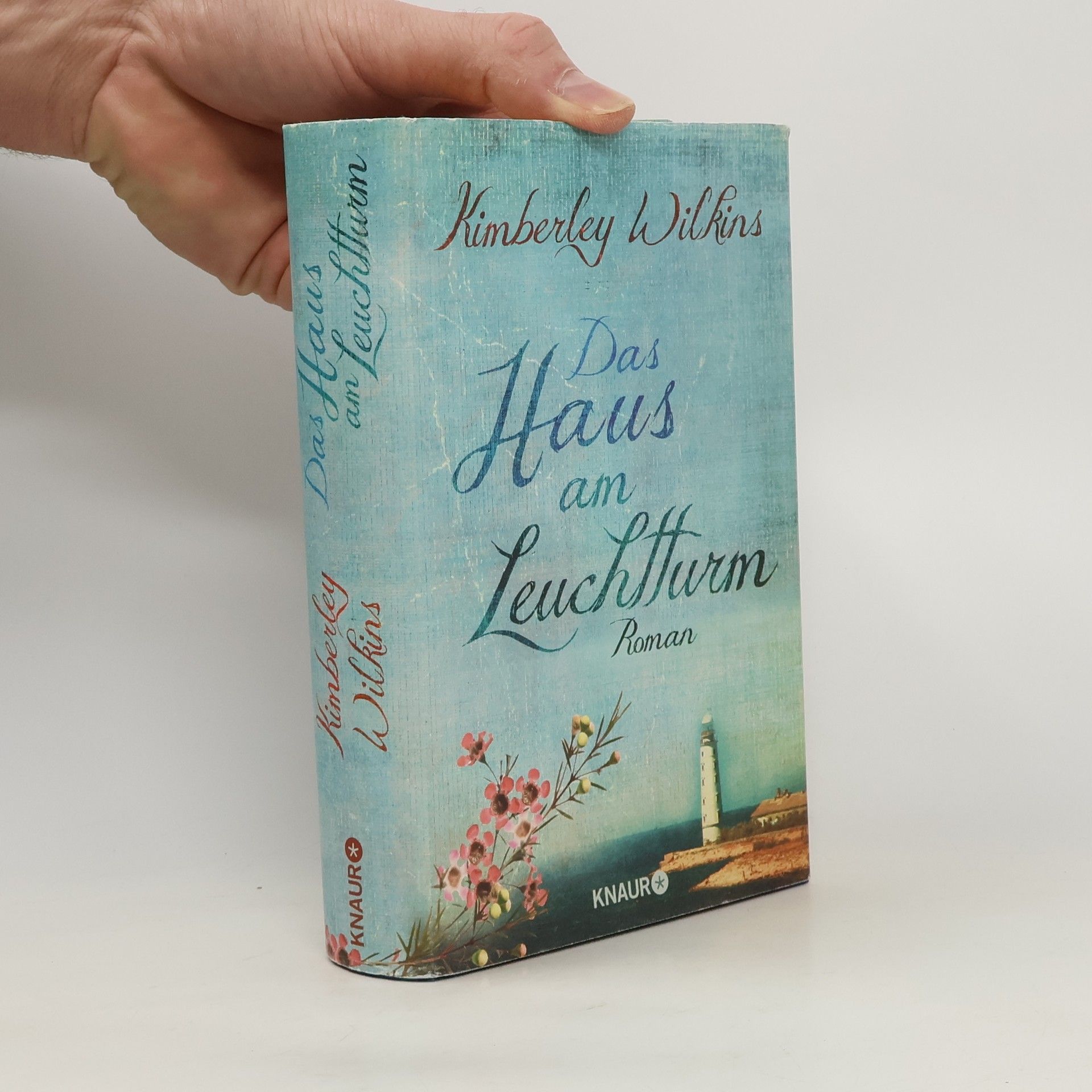 Kimberley Wilkins Das Haus am Leuchtturm