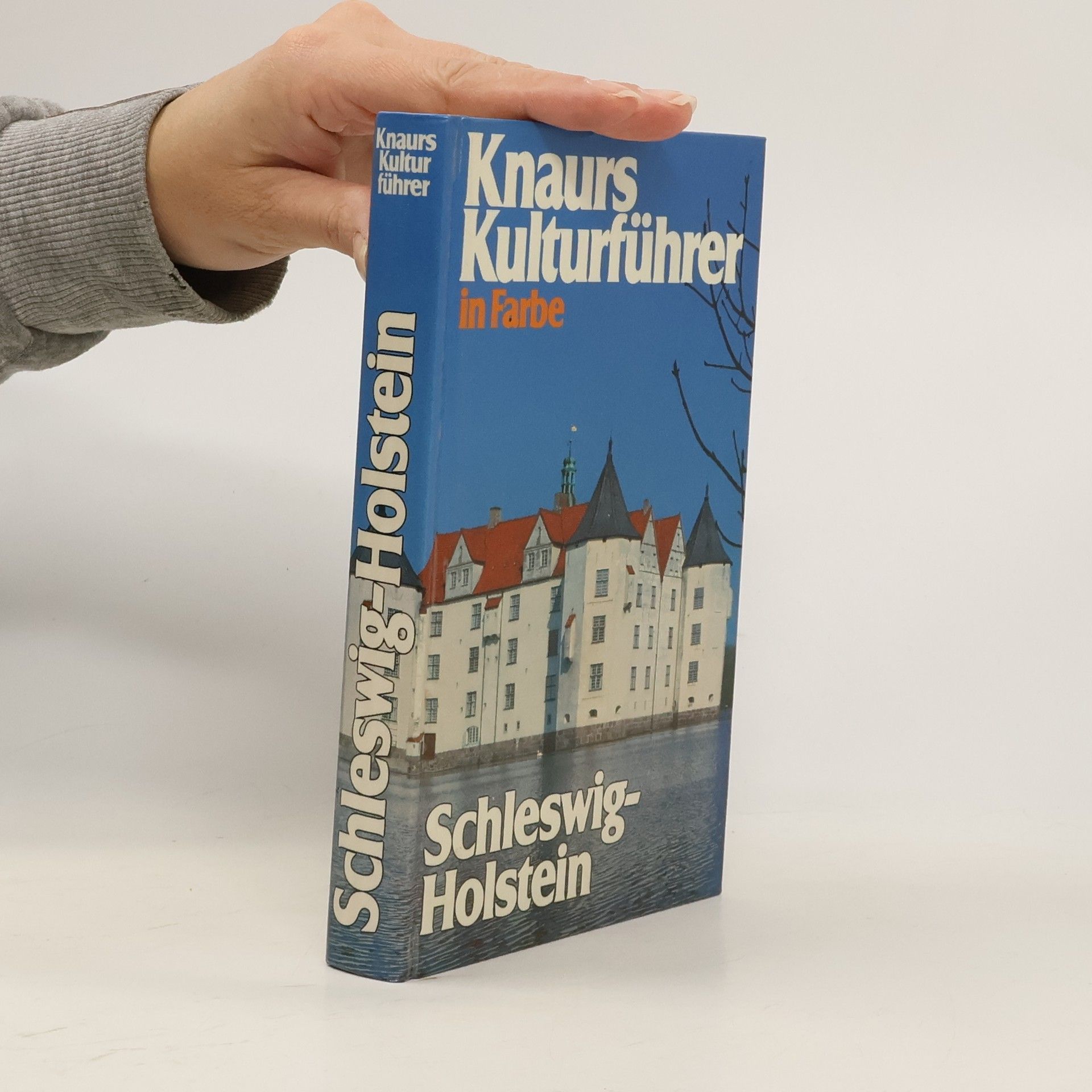 AA.VV. Knaurs Kulturführer in Farbe. Schleswig-Holstein
