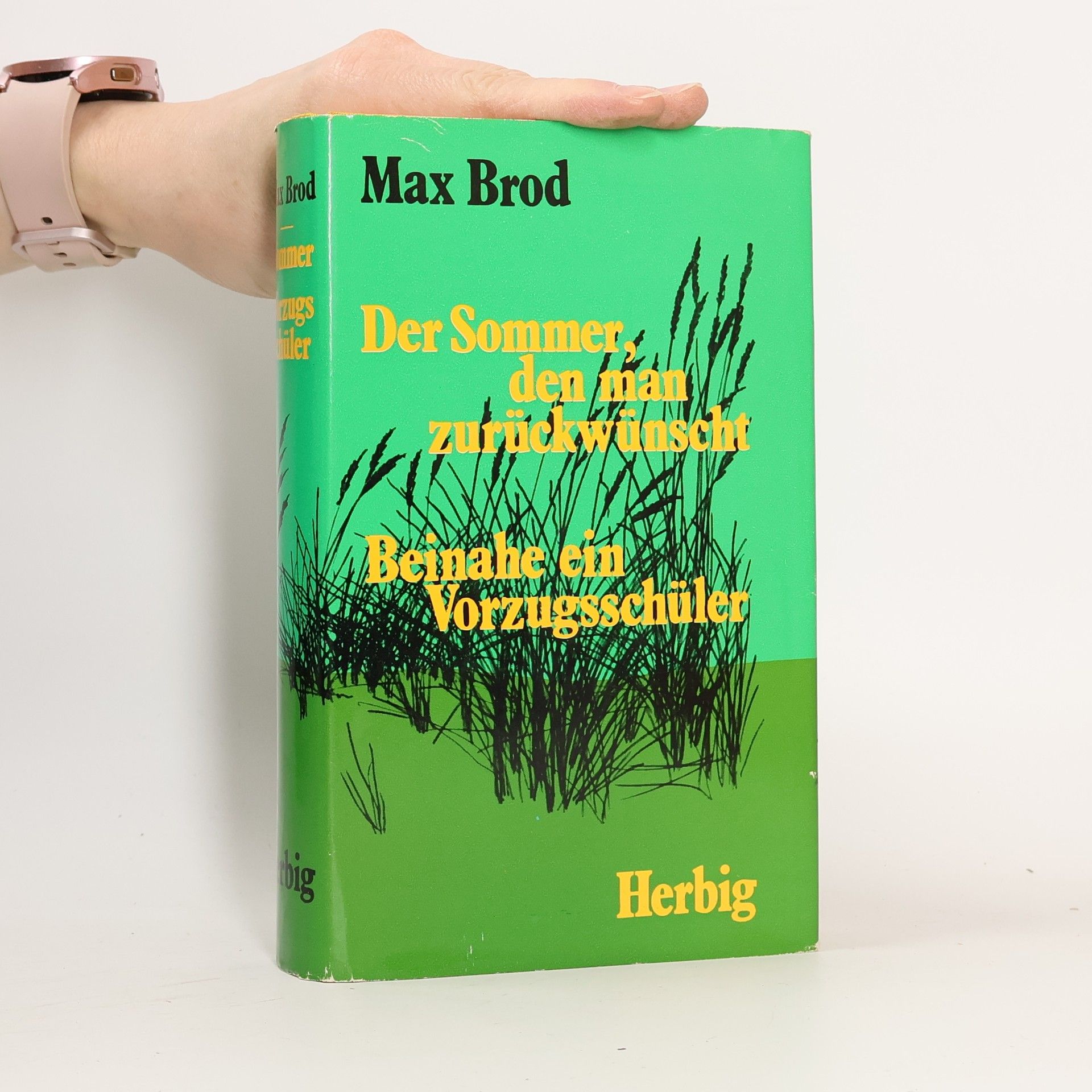 Max Brod Der Sommer den man zurückwünscht. Beinahe ein Vorzugsschüler