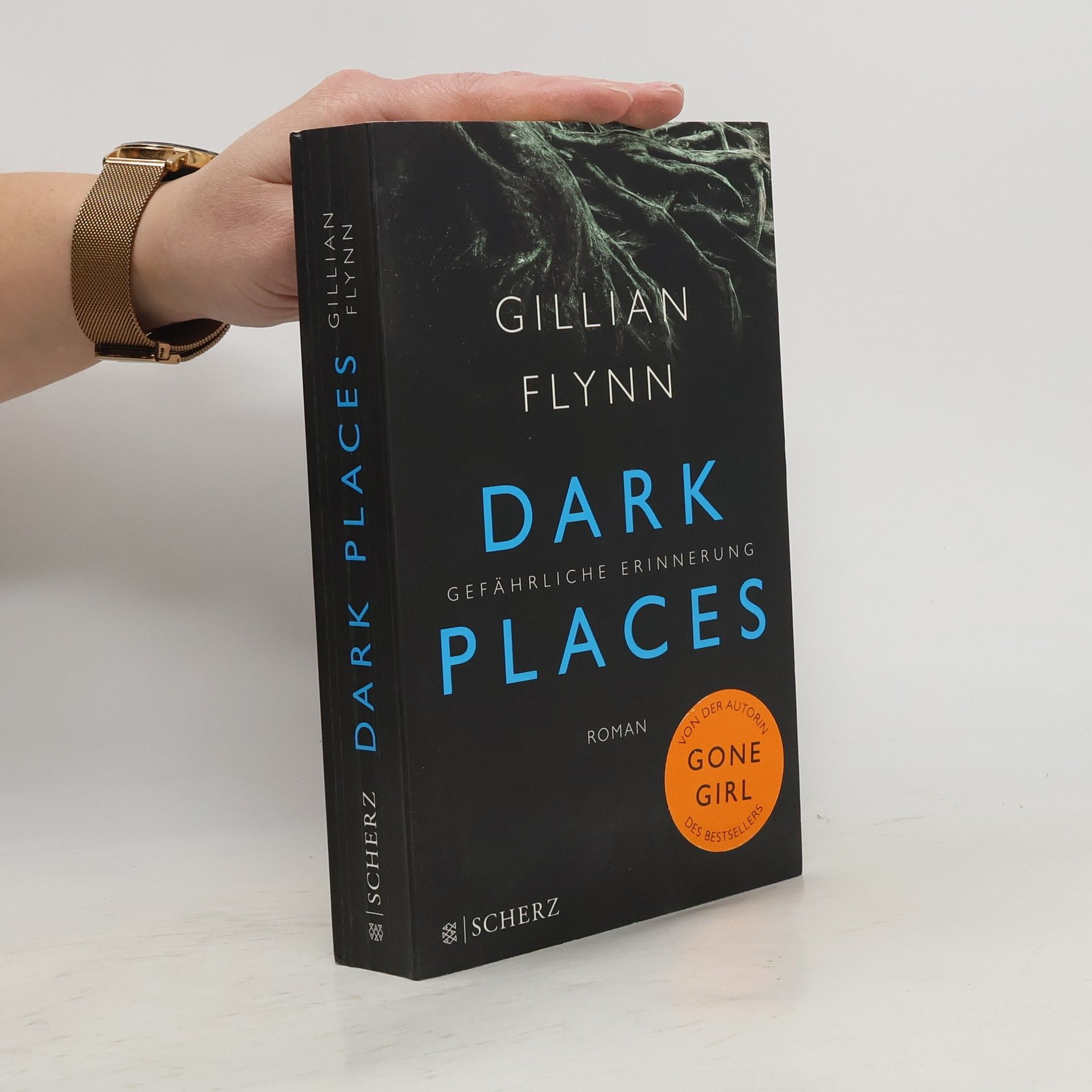 Gillian Flynn Dark places