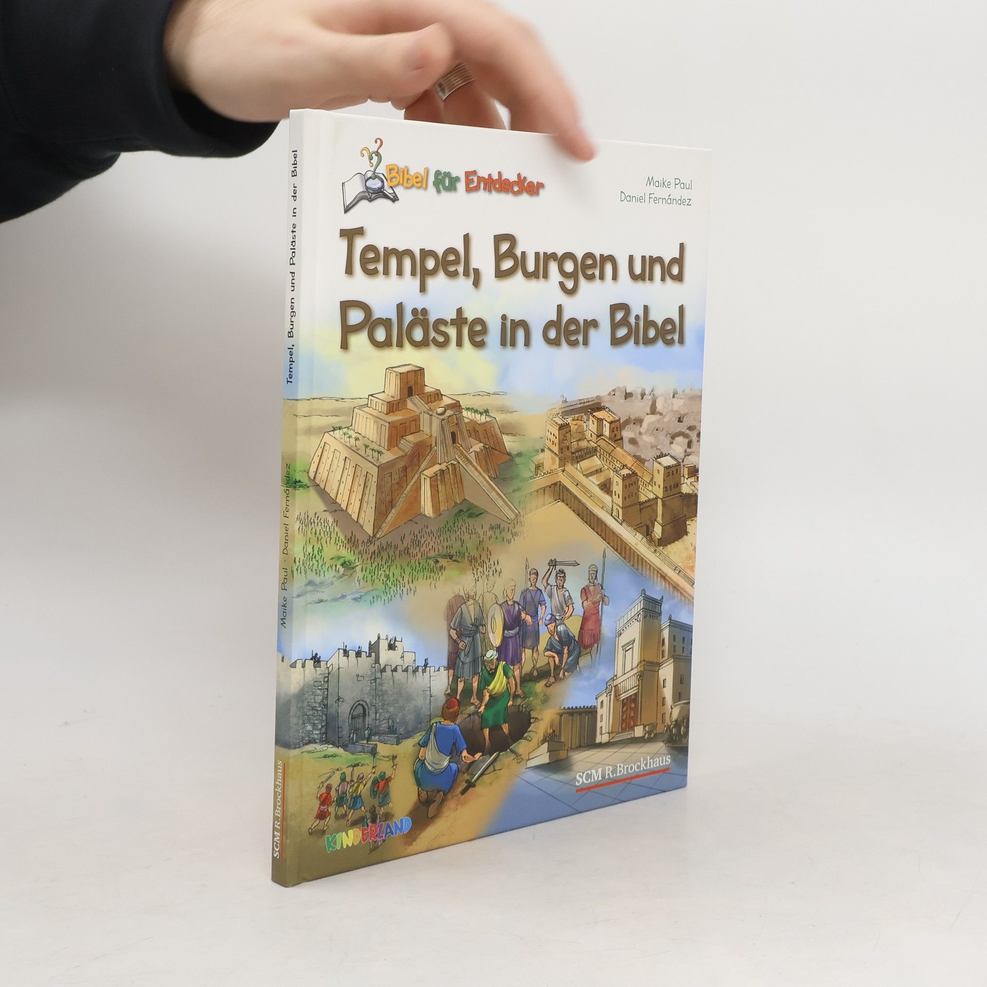 Maike Paul Tempel, Burgen und Paläste in der Bibel