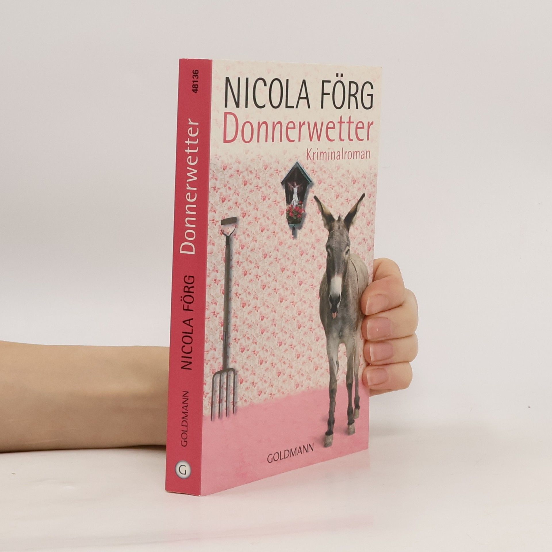 Nicola Förg Donnerwetter