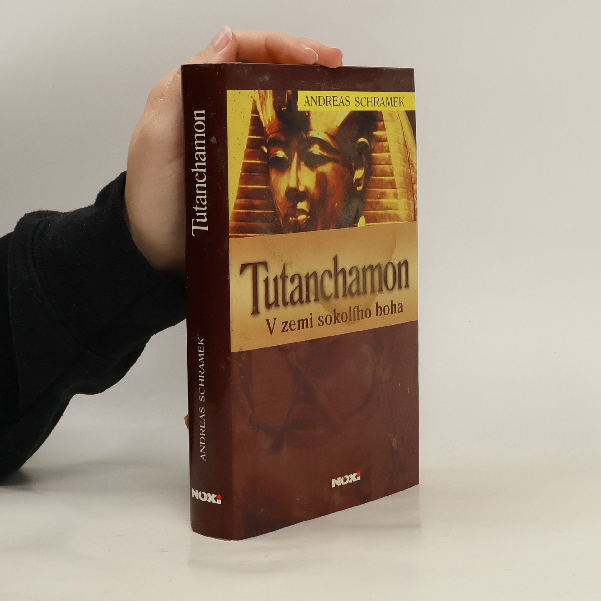 Rudolf Řežábek Tutanchamon: V zemi sokolího boha