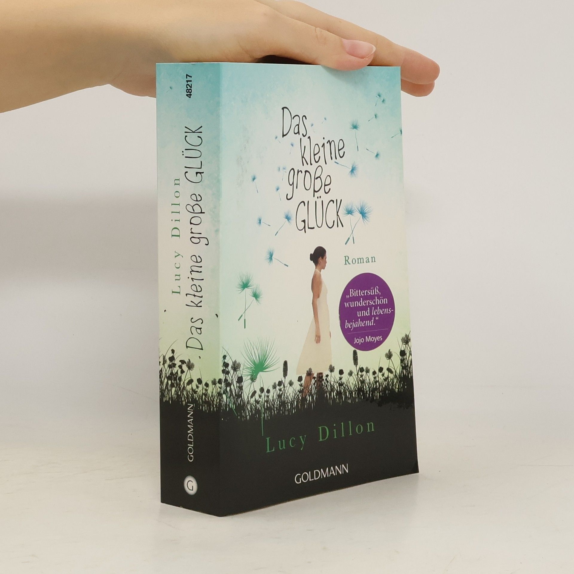 Lucy Dillon Das kleine große Glück