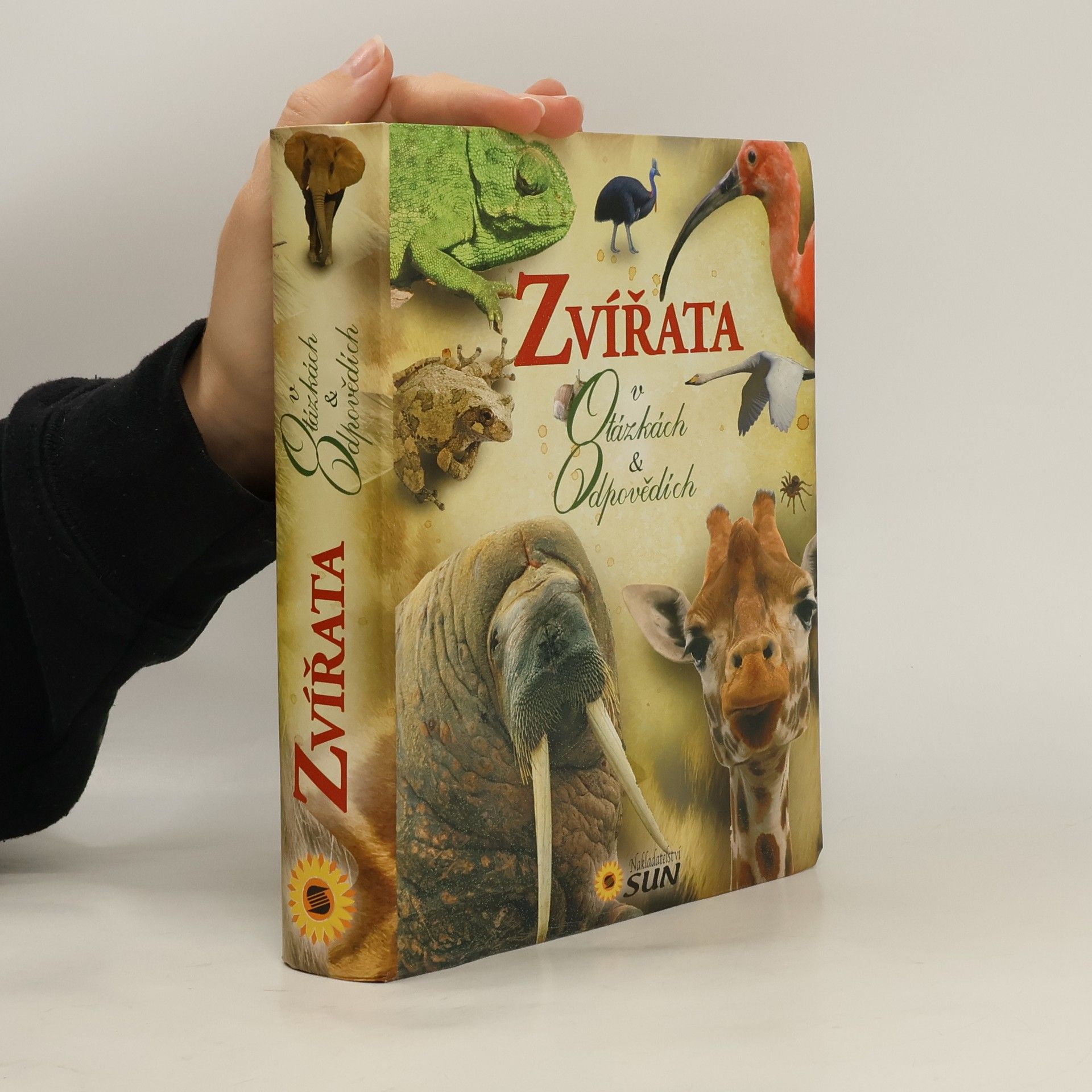 Francesca Bignotti Zvířata : v otázkách & odpovědích