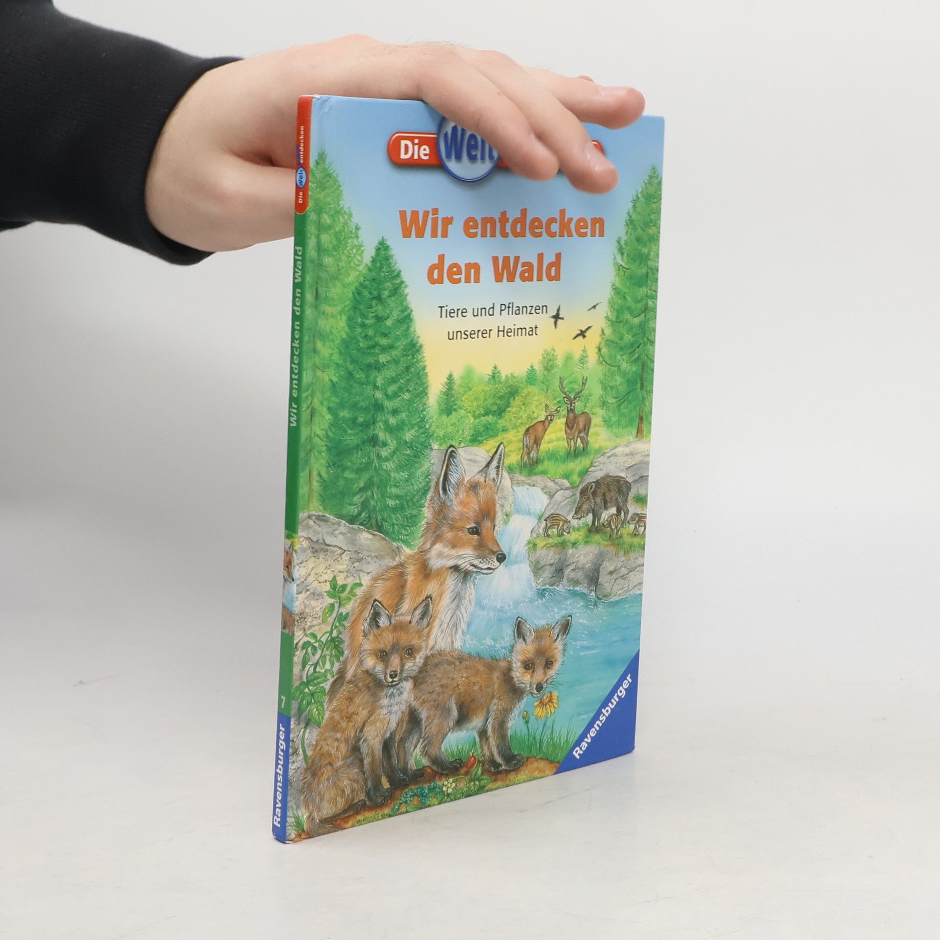 Autorenkollektiv Wir entdecken den Wald