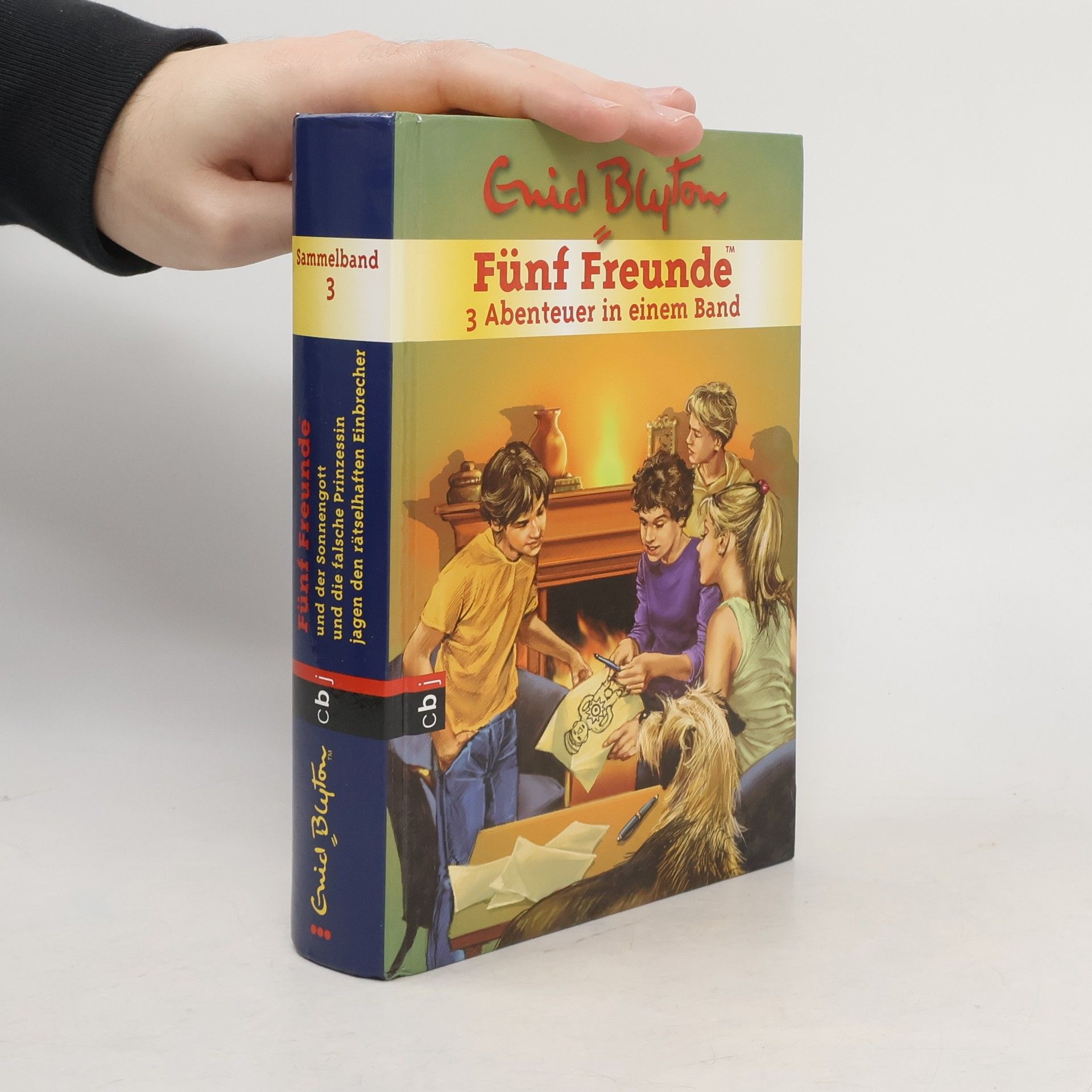 Enid Blyton Fünf Freunde Sammelband 3
