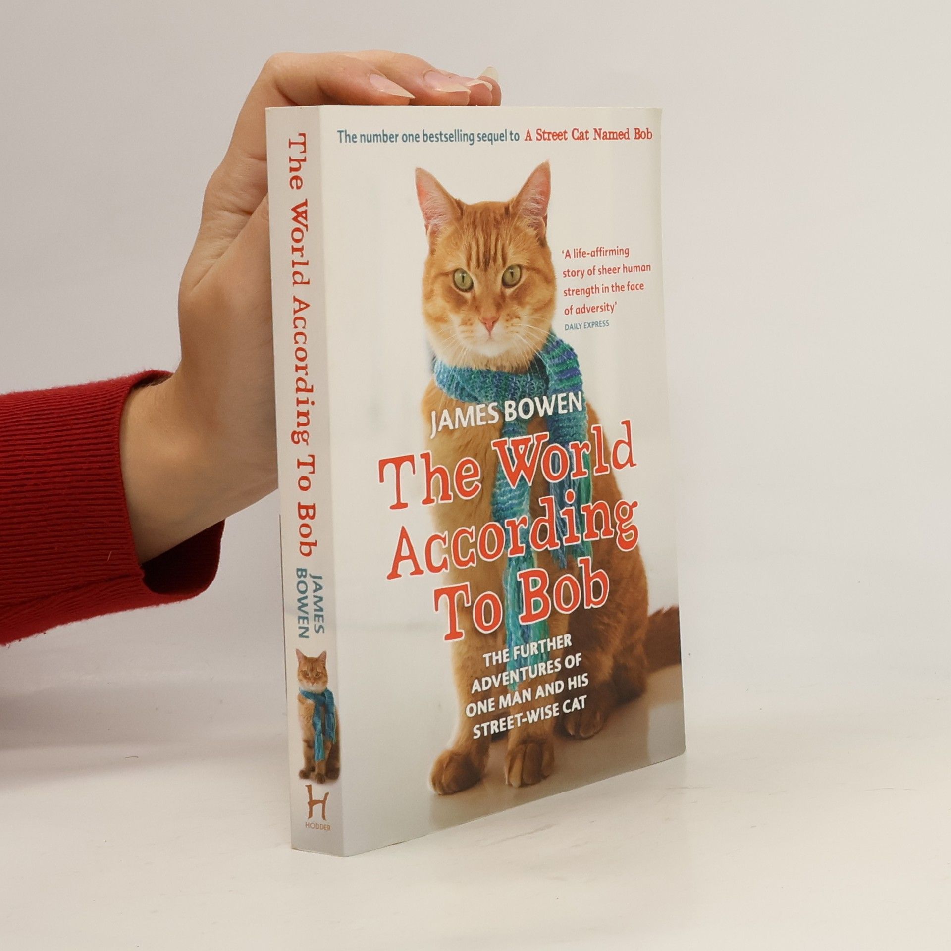 James Bowen The World According To Bob