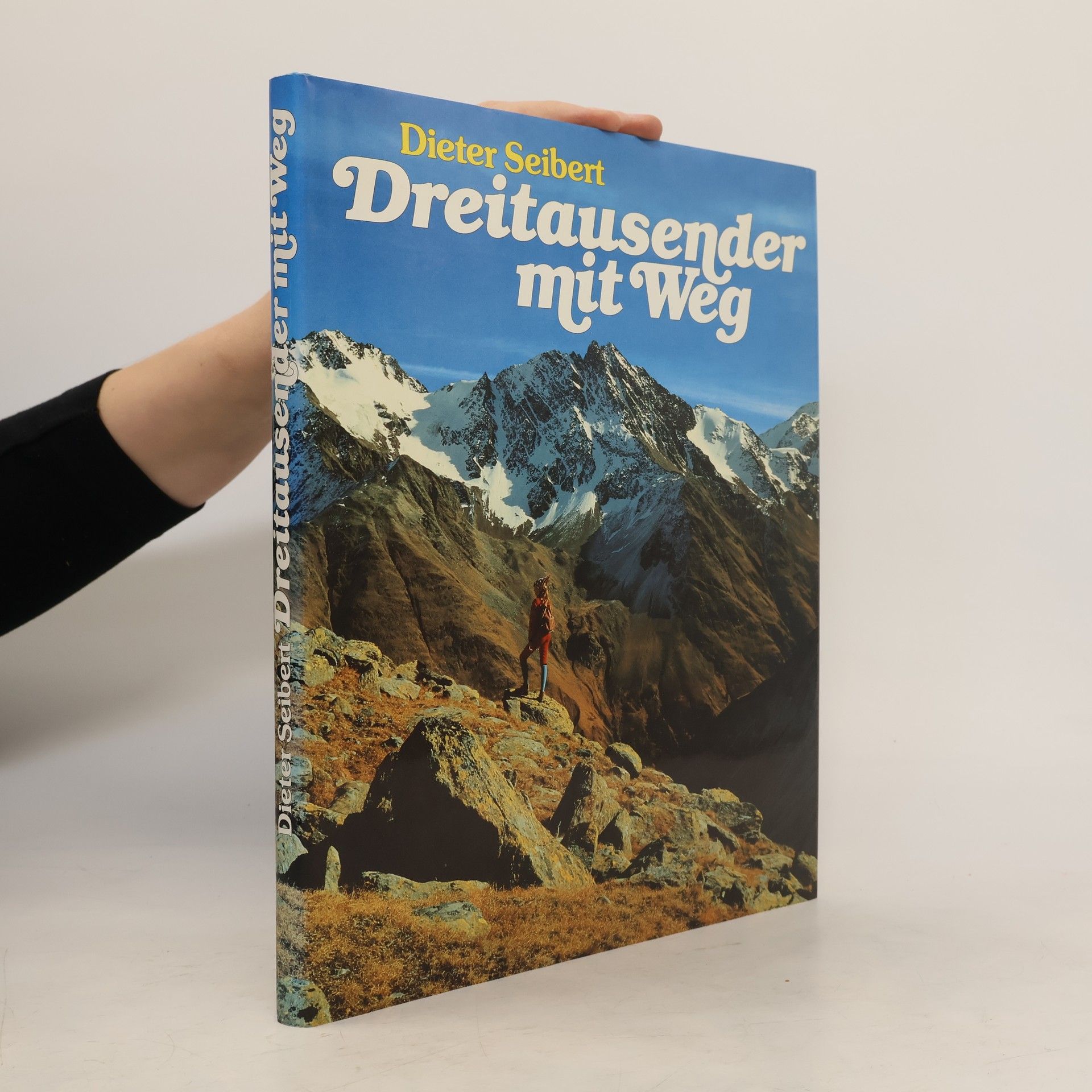 Dieter Seibert Dreitausender mit Weg