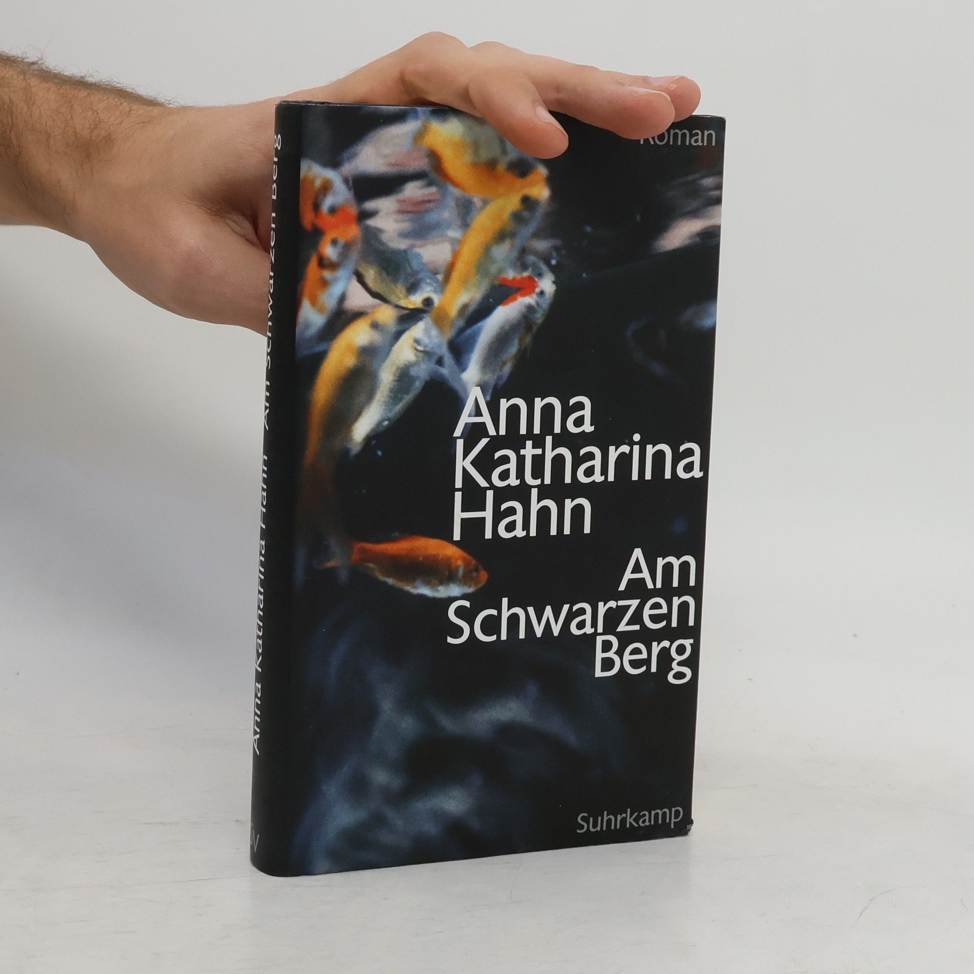 Anna Katharina Hahn Am Schwarzen Berg
