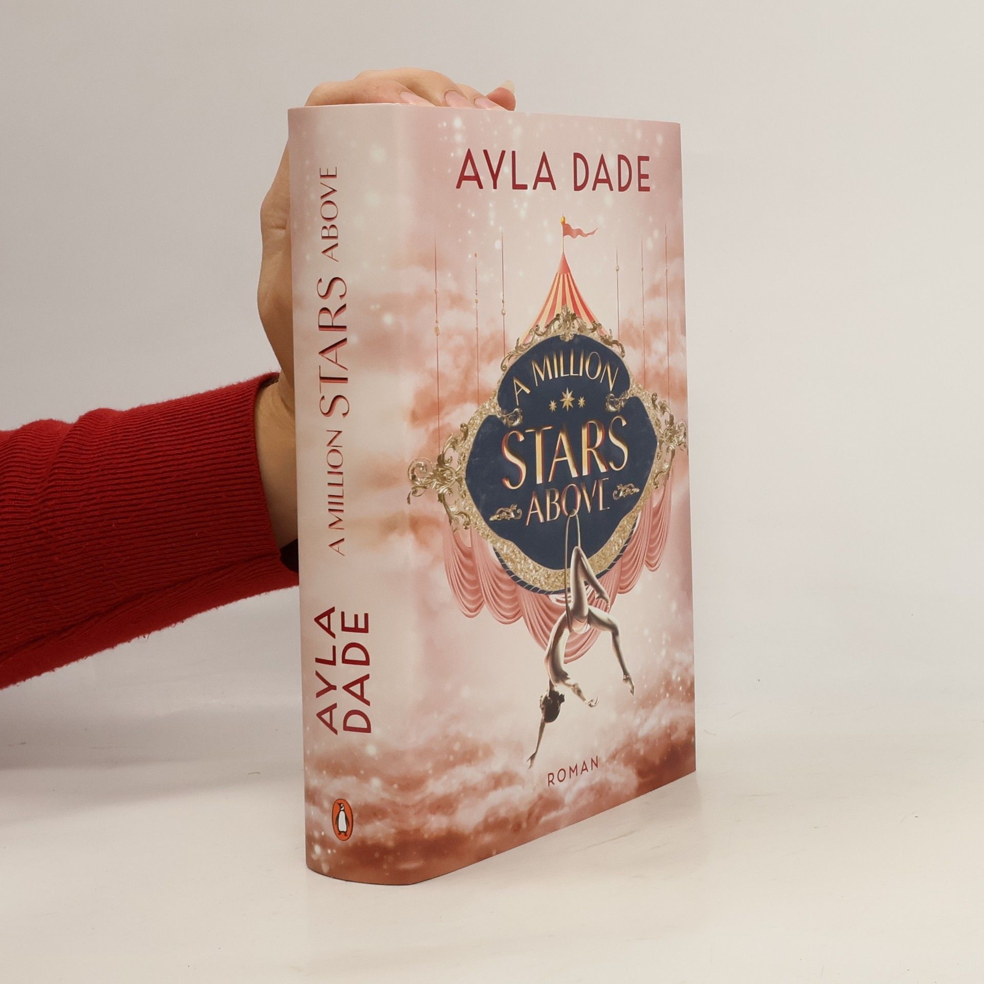 Ayla Dade A Million Stars Above