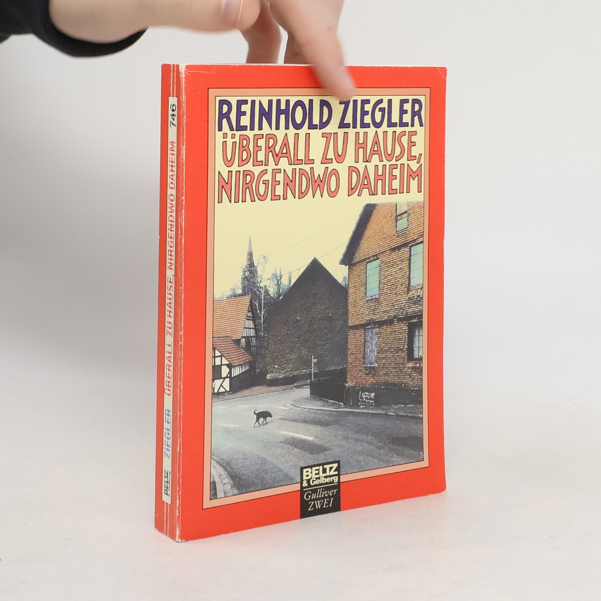 Reinhold Ziegler Überall zu Hause, nirgendwo daheim