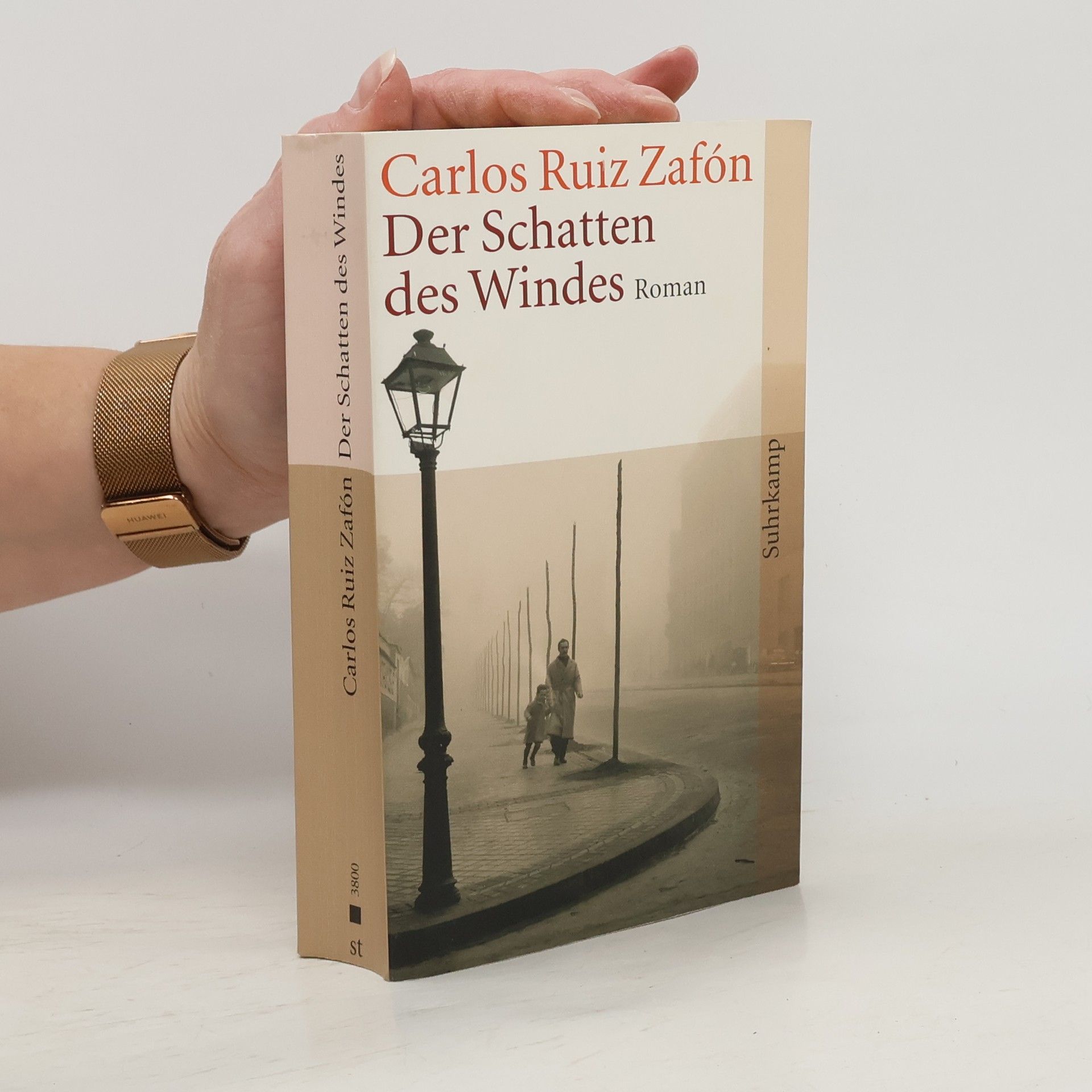 Carlos Ruiz Zafón Der Schatten des Windes
