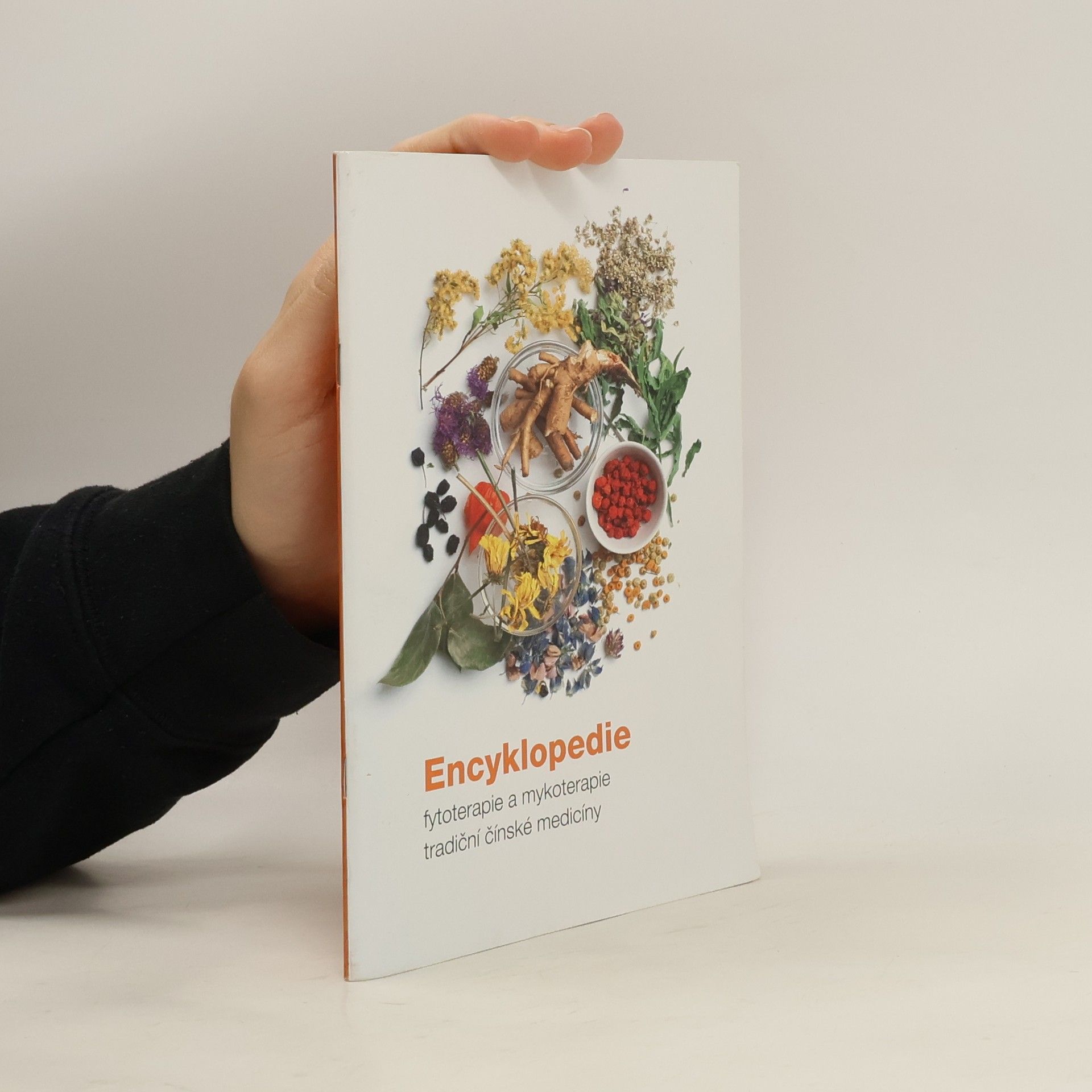 Kolektiv autorů Encyklopedie