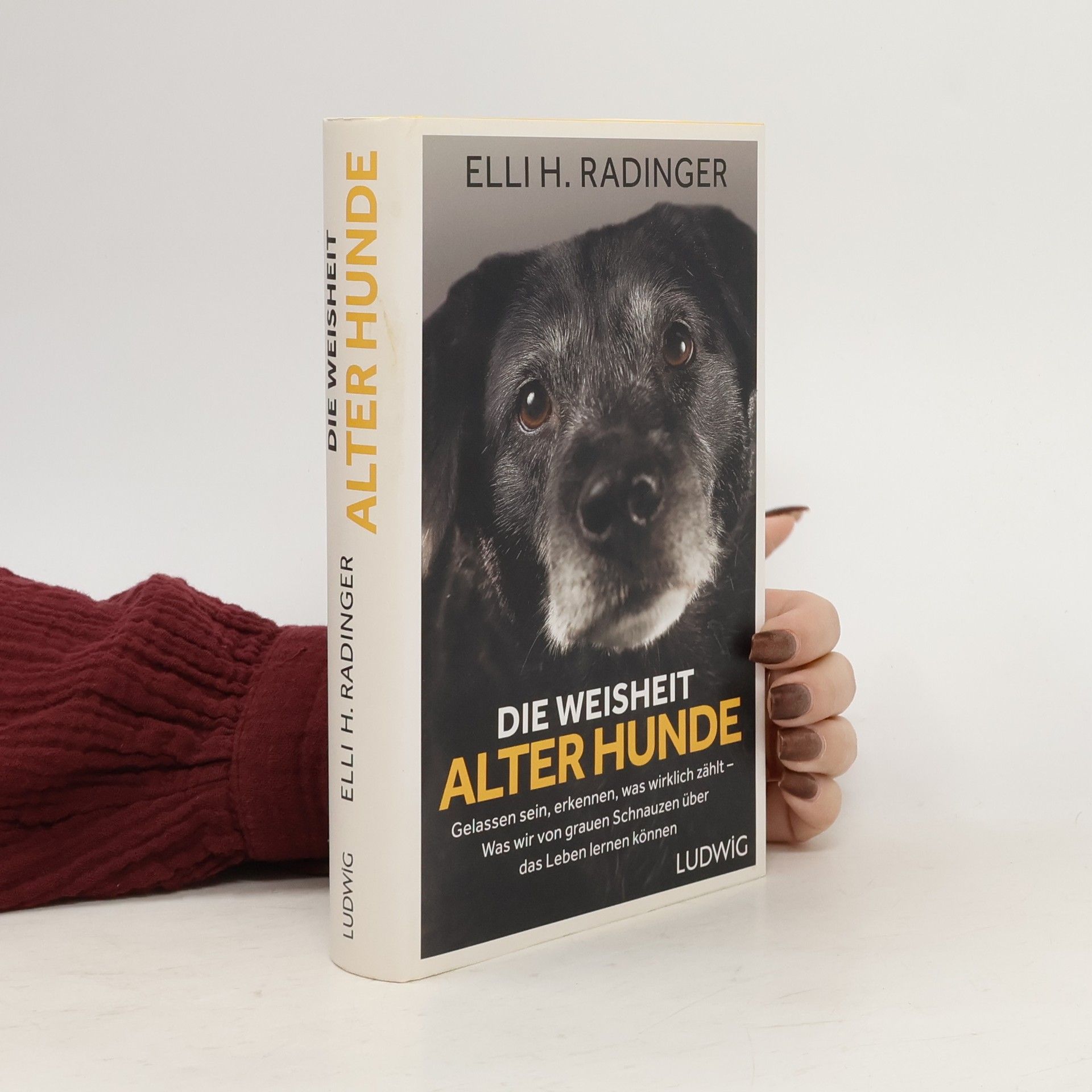 Die Weisheit alter Hunde