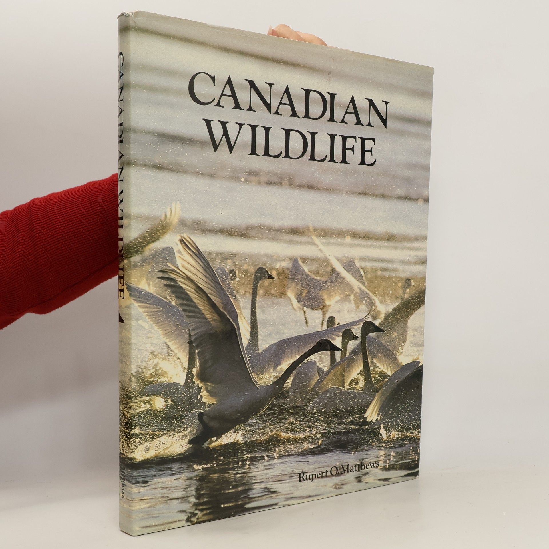 Rupert O. Matthews Canadian Wildlife