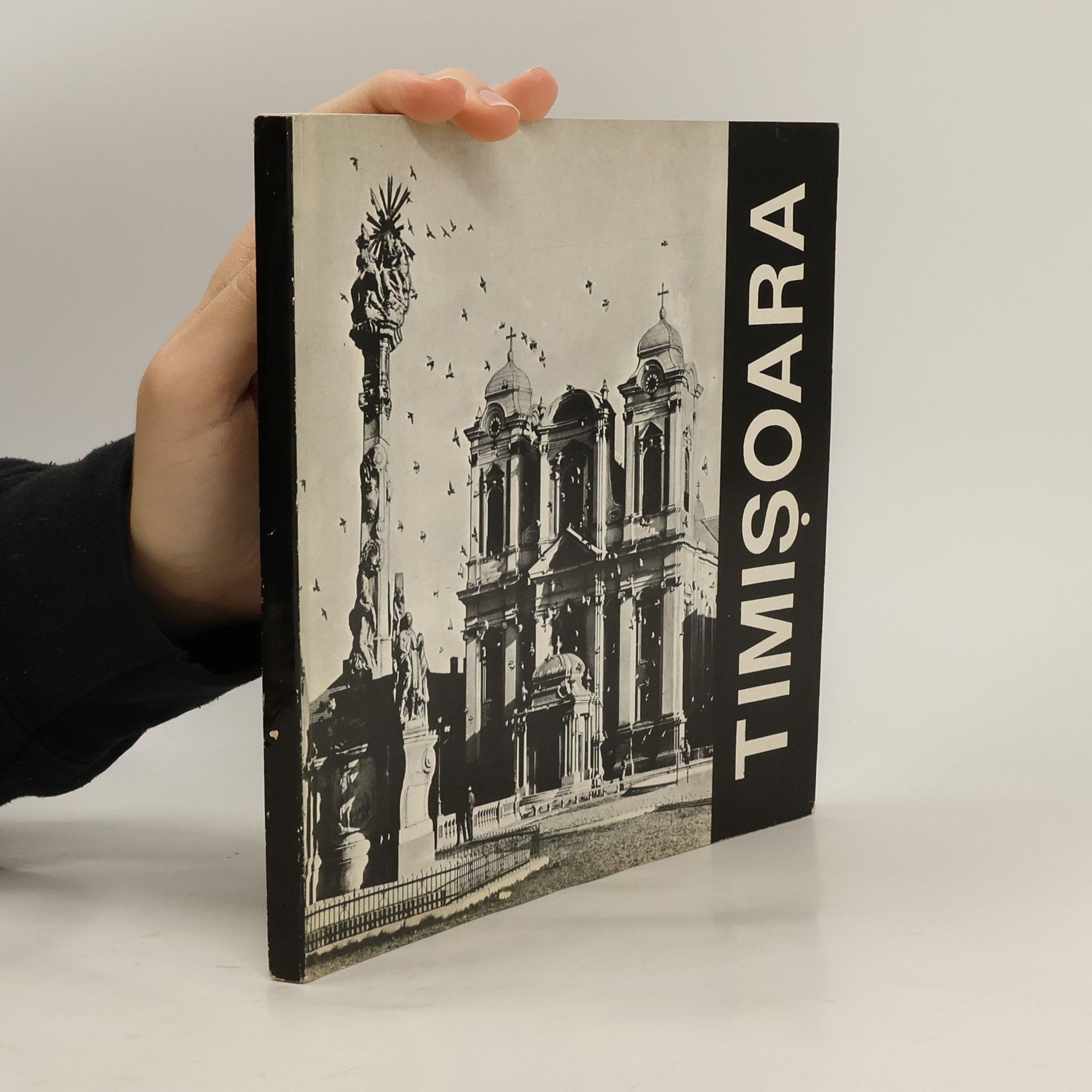 Various authors Timisoara