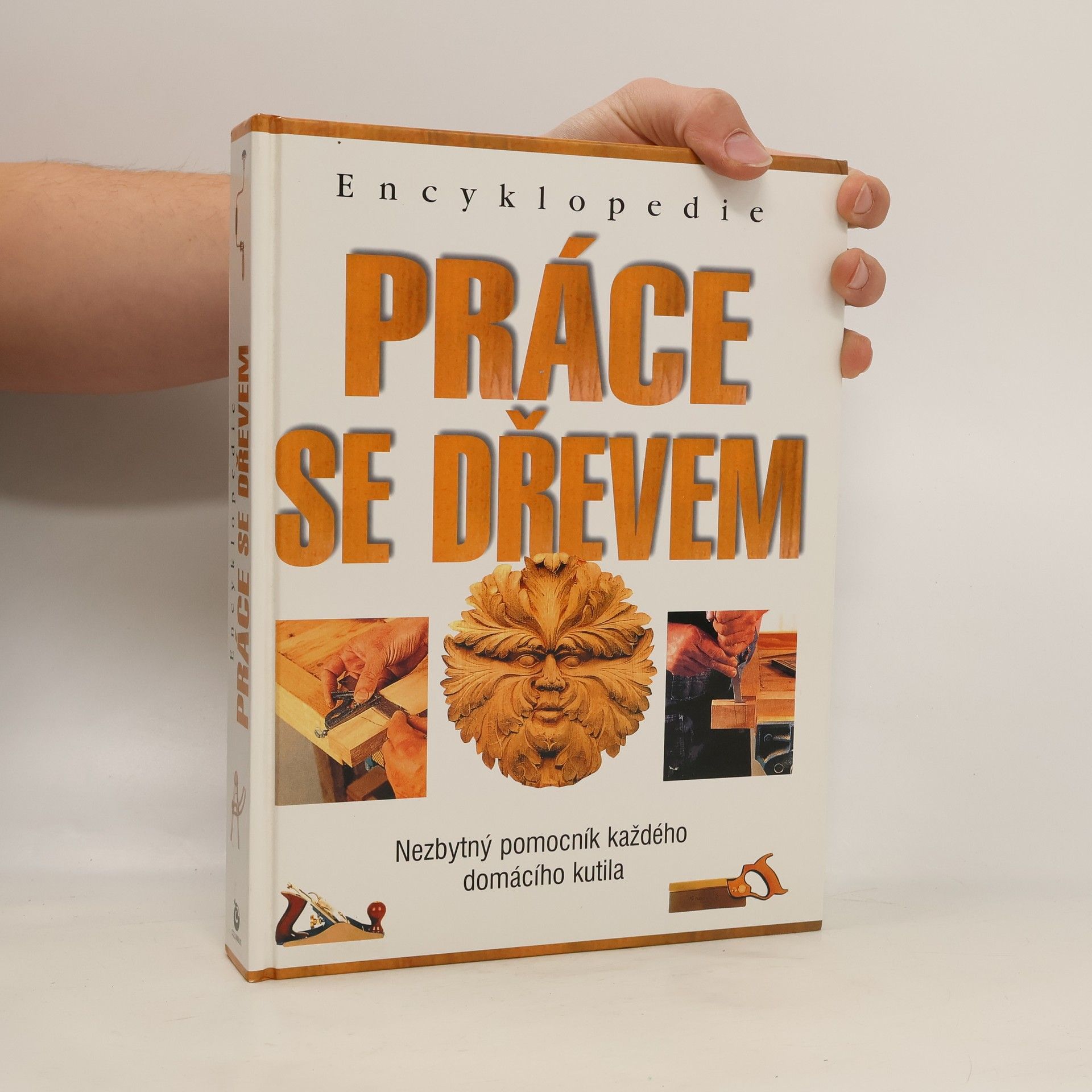 Autores varios Práce se dřevem - encyklopedie