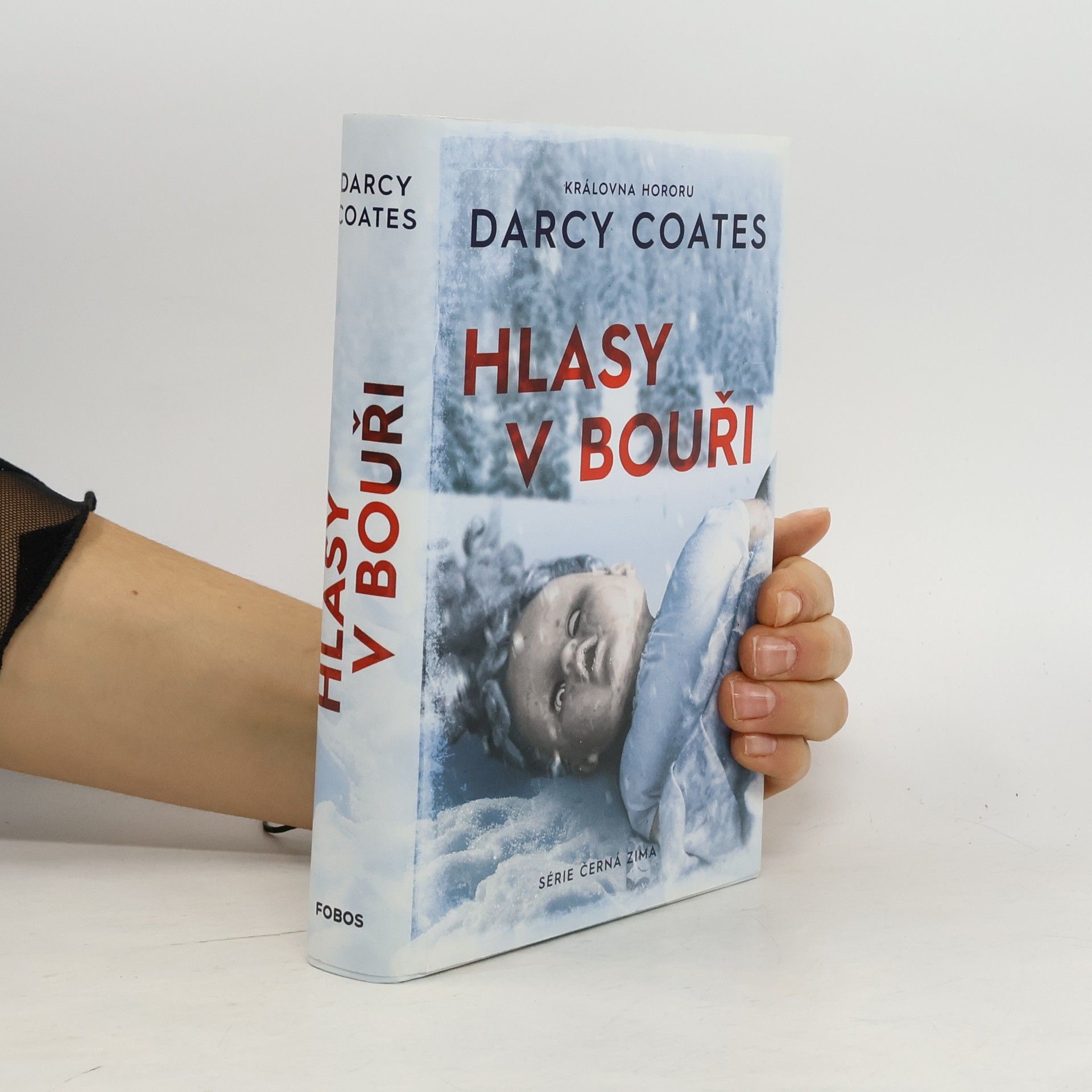 Darcy Coates Hlasy v bouři