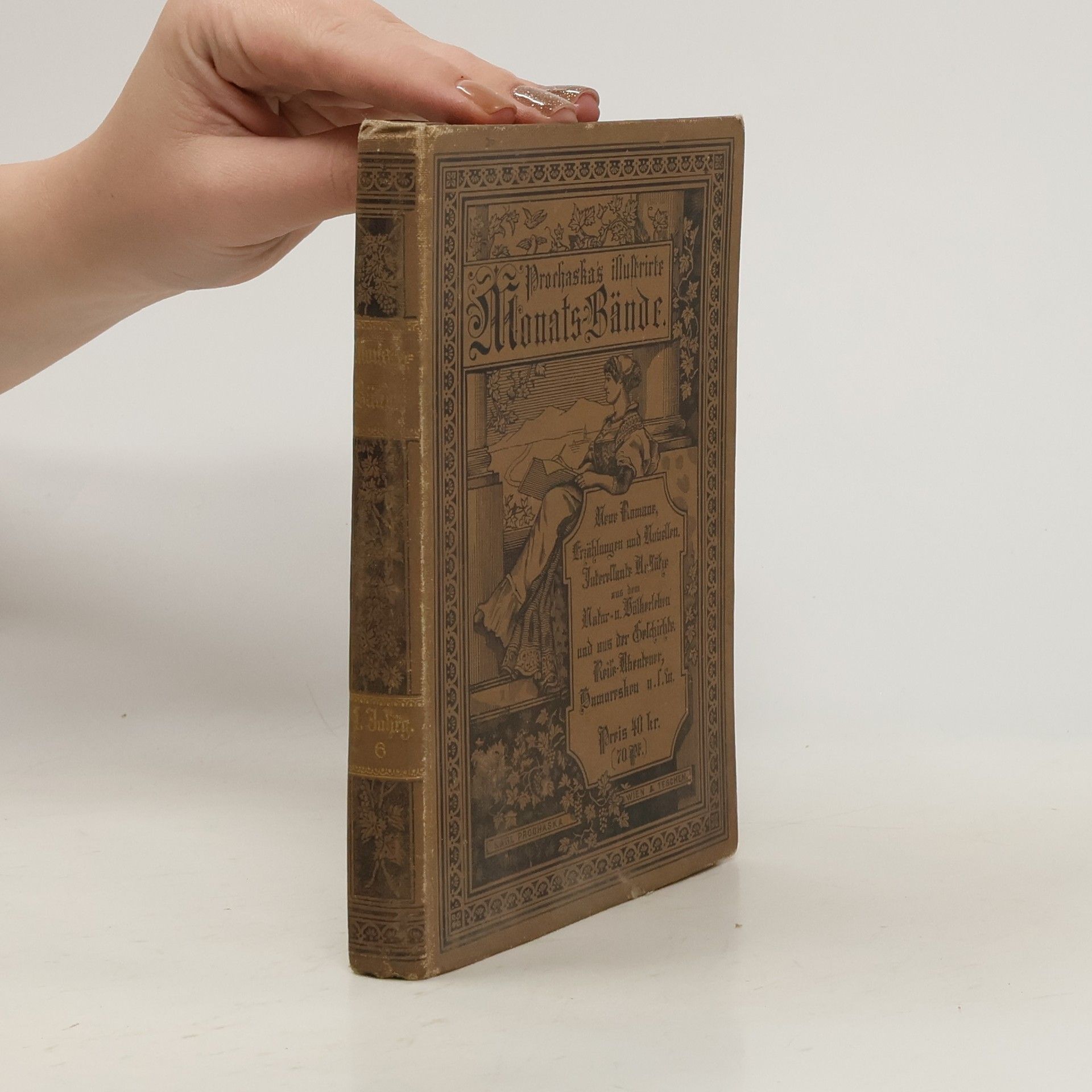 AA.VV. Prochaska's illustrirte Monatsbände VI.