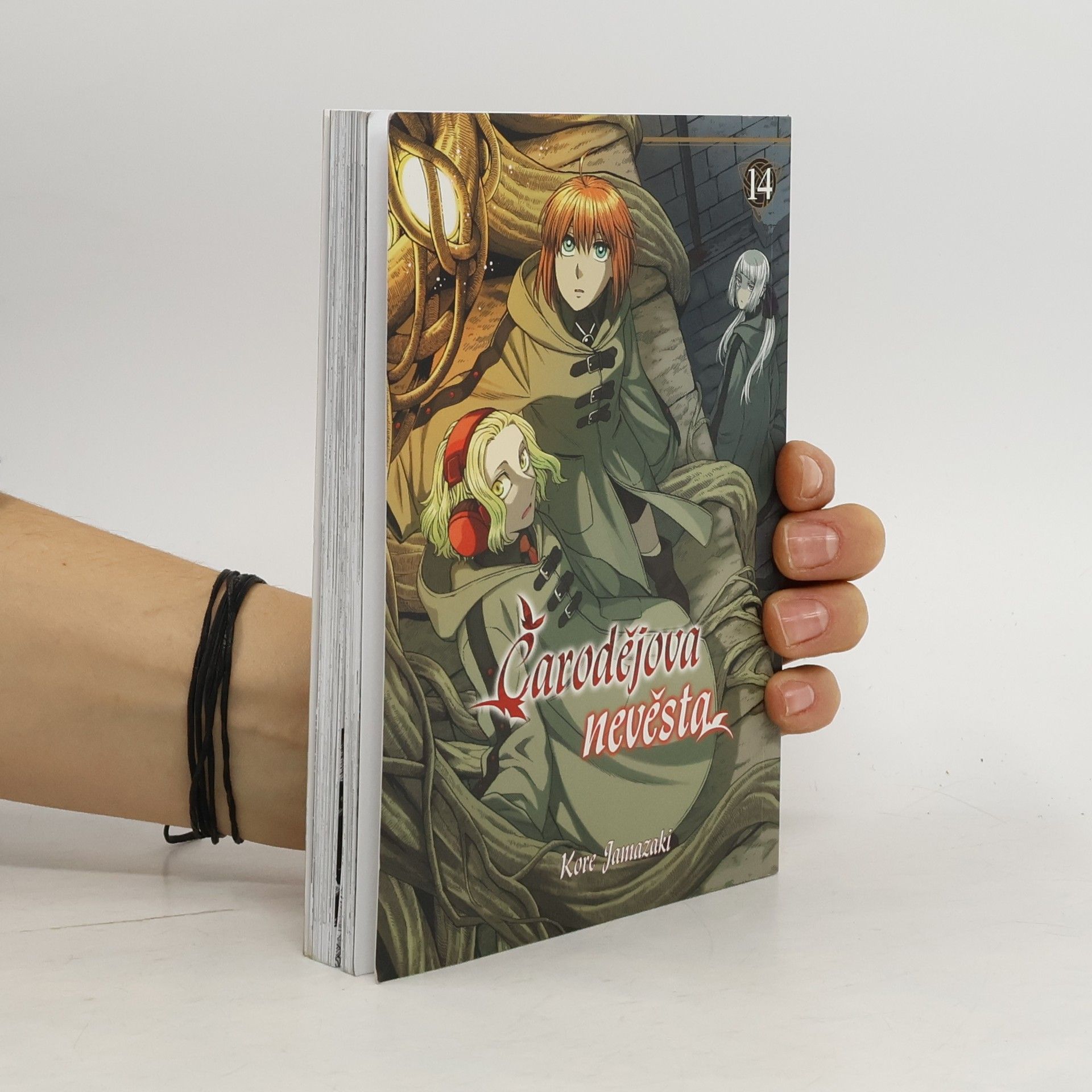 Kore Jamazaki Čarodějova nevěsta, 14