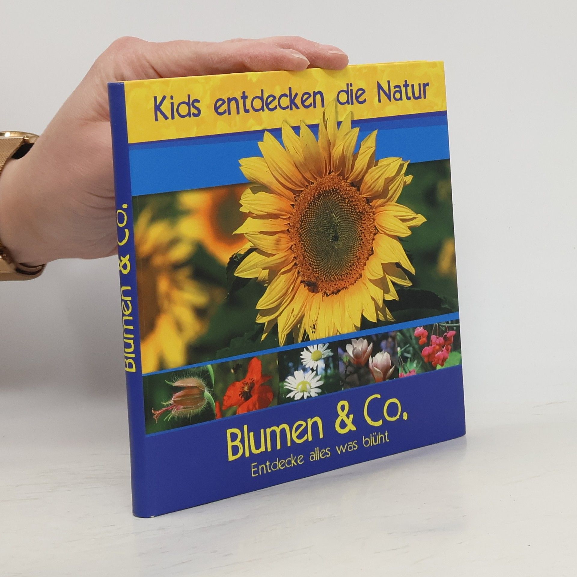 Collectif d'auteurs Blumen & Co