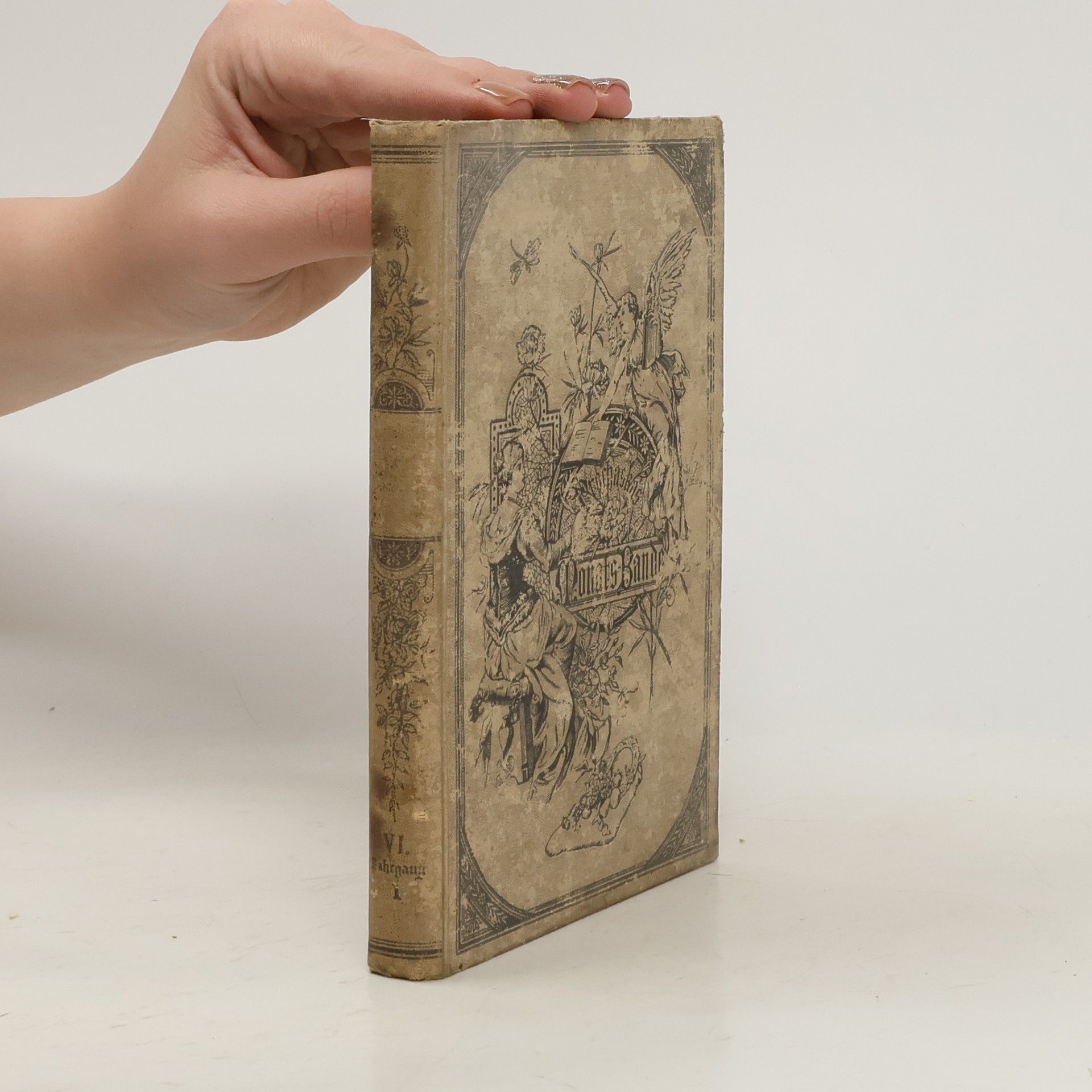 AA.VV. Prochaska's illustrirte Monatsbände I.